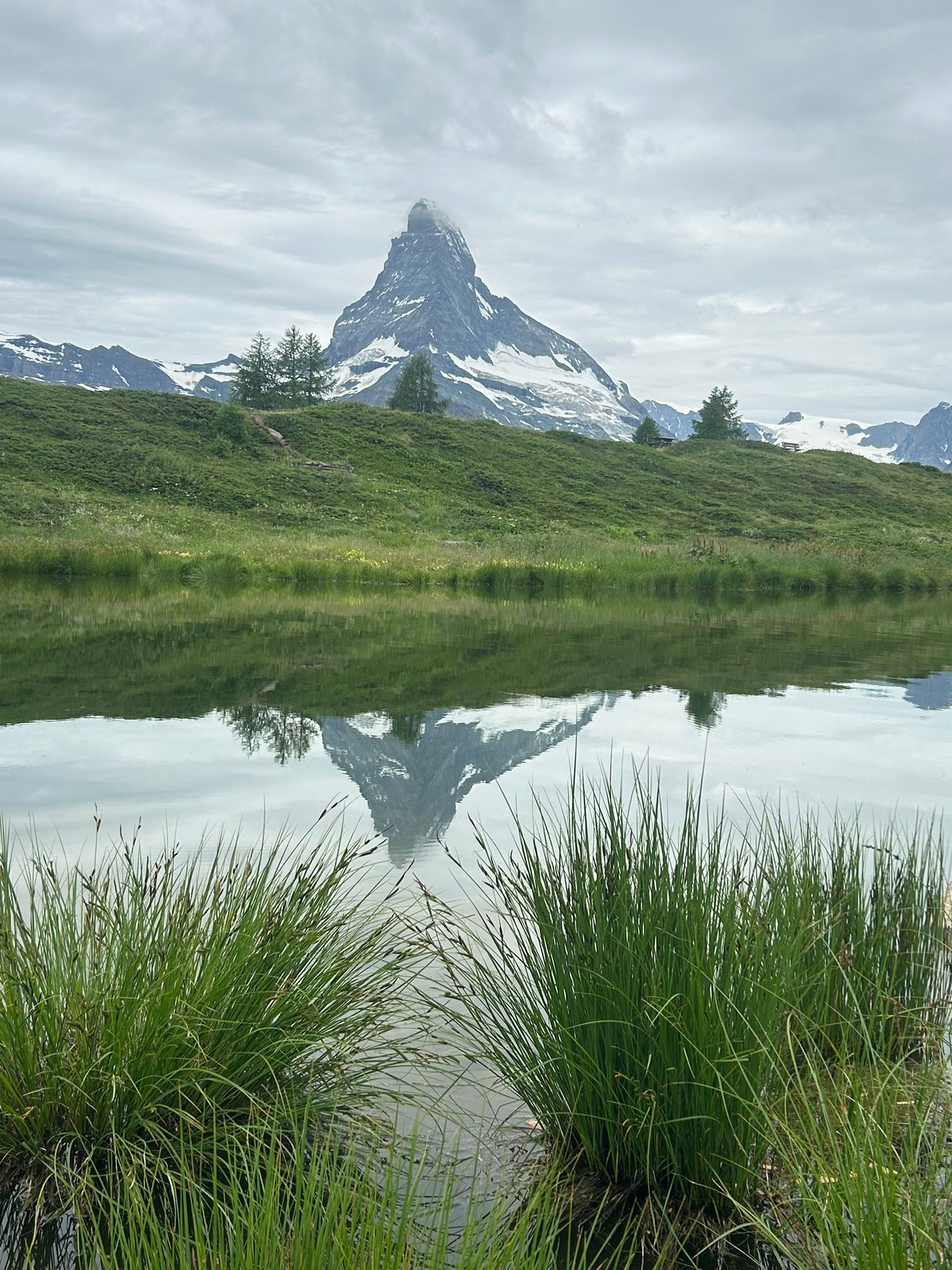 media_M5JX27UP5MU6C5W8