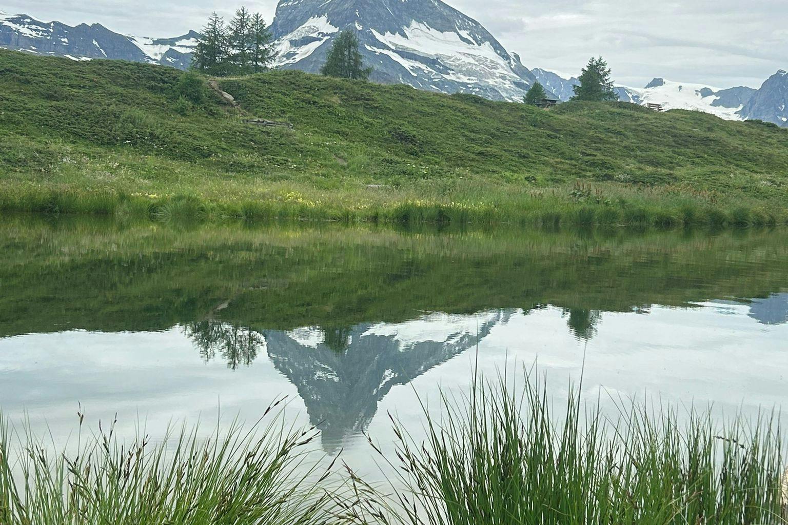 media_M5JX27UP5MU6C5W8