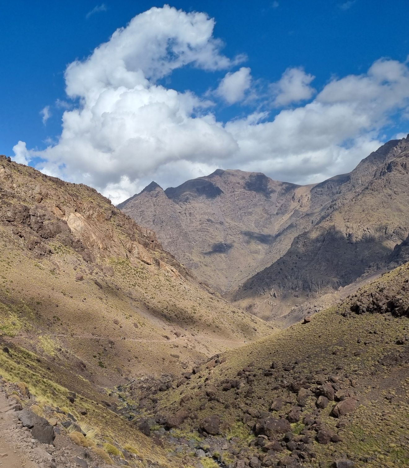 media_SK8L468HJL8YHQXN