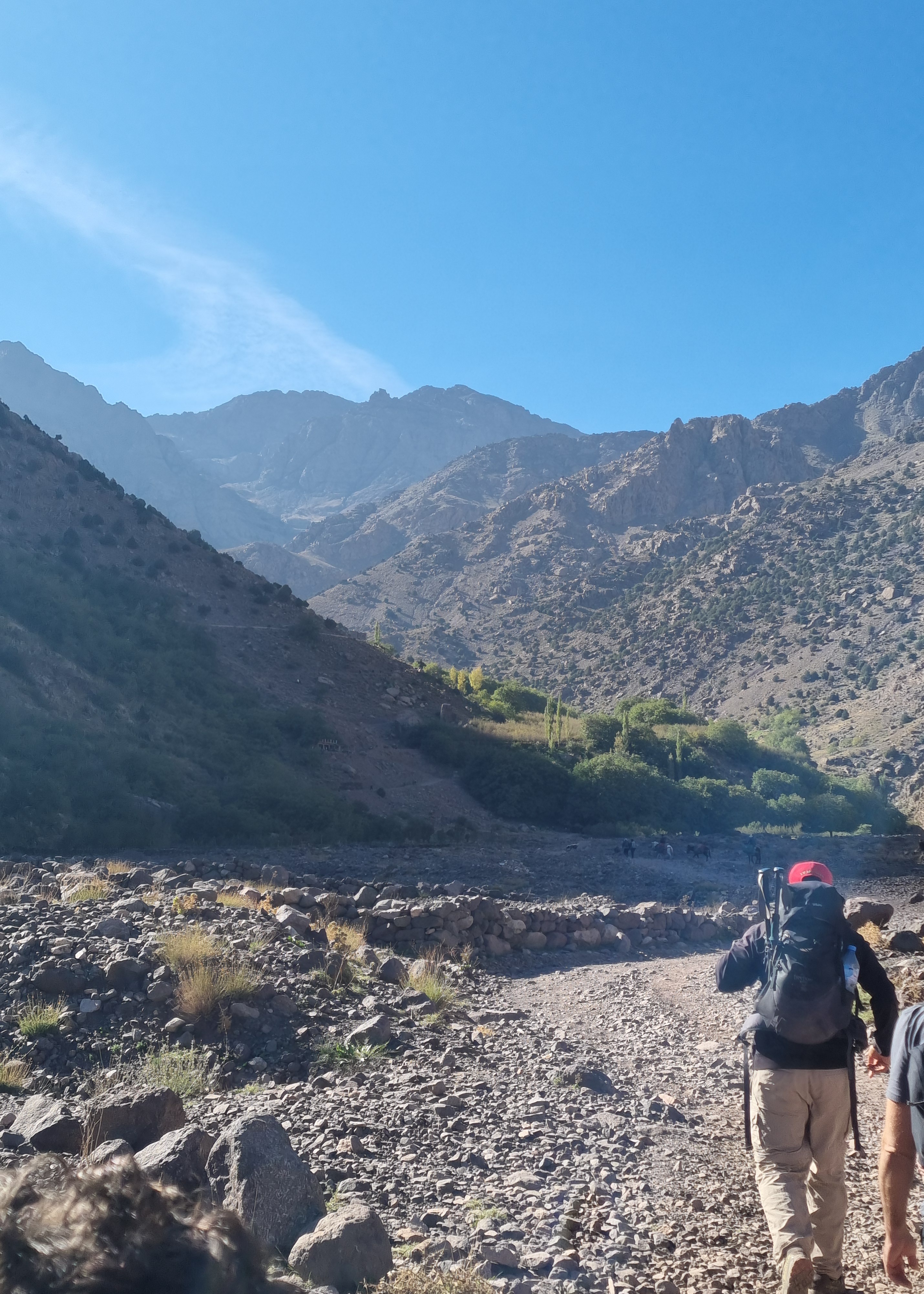 media_XCCZF2JFTRCLNKS7