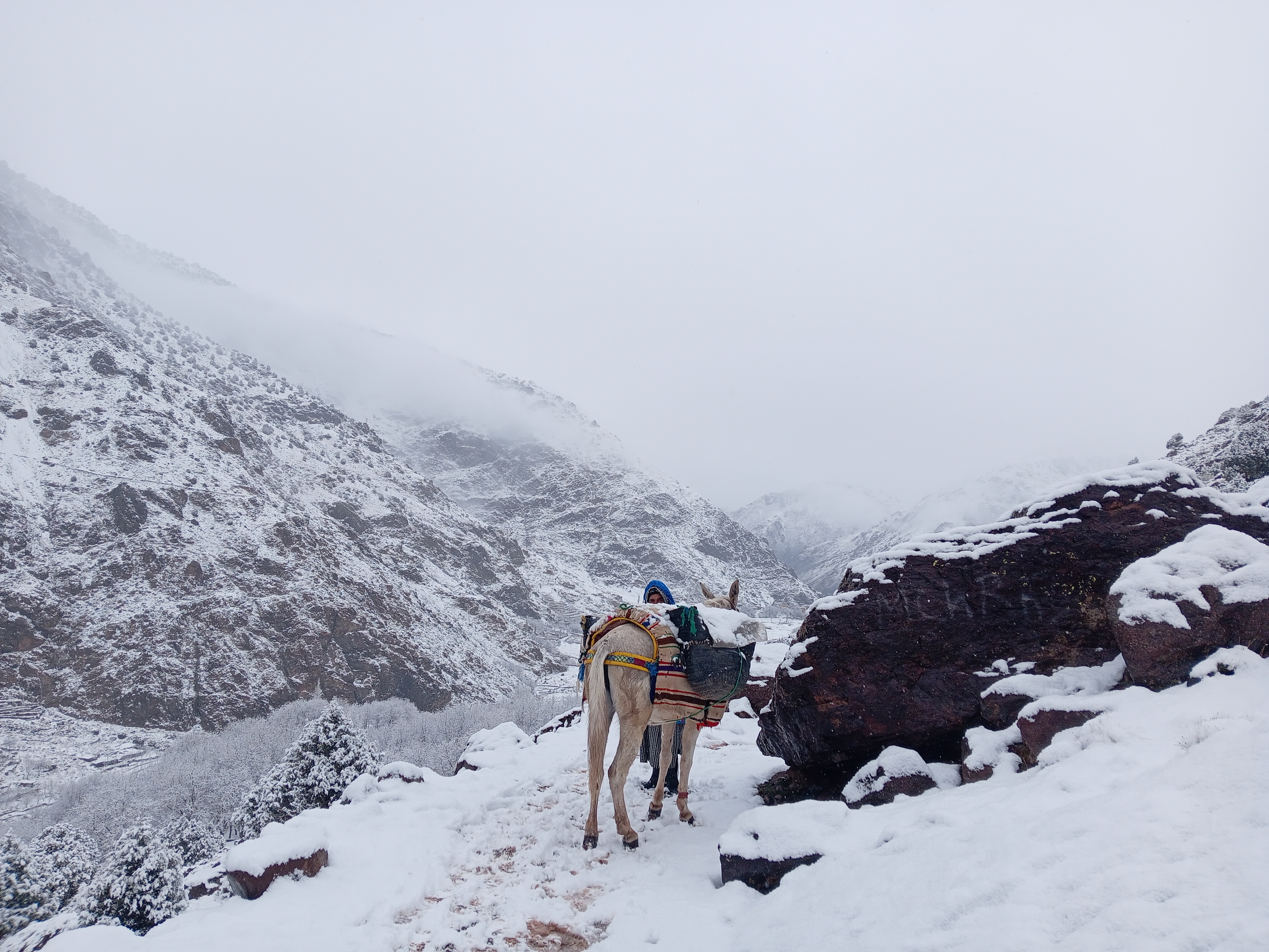 media_EU33P9UQWKGPA3HQ