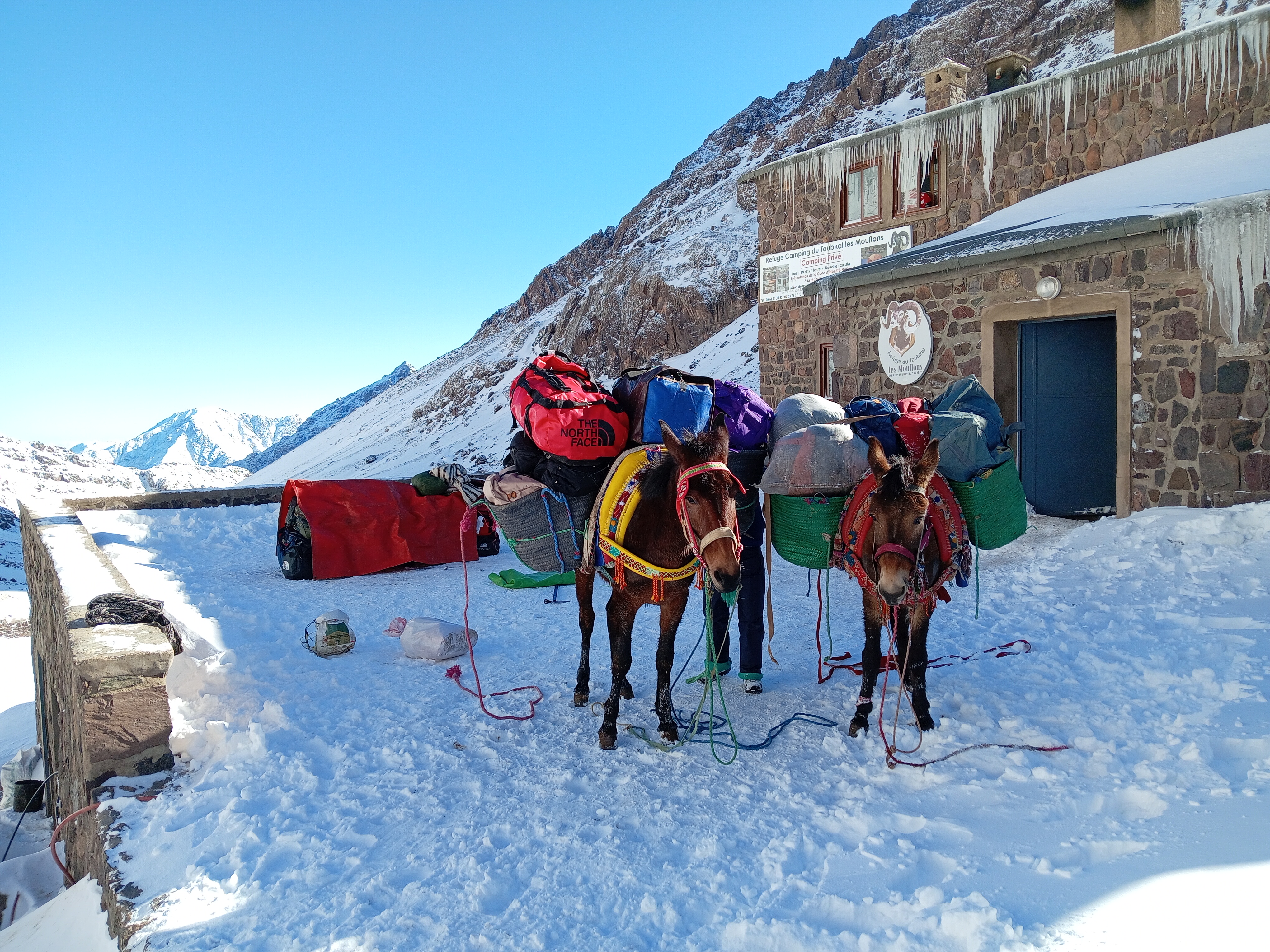 media_F9RFXVPCPCR3V63Z