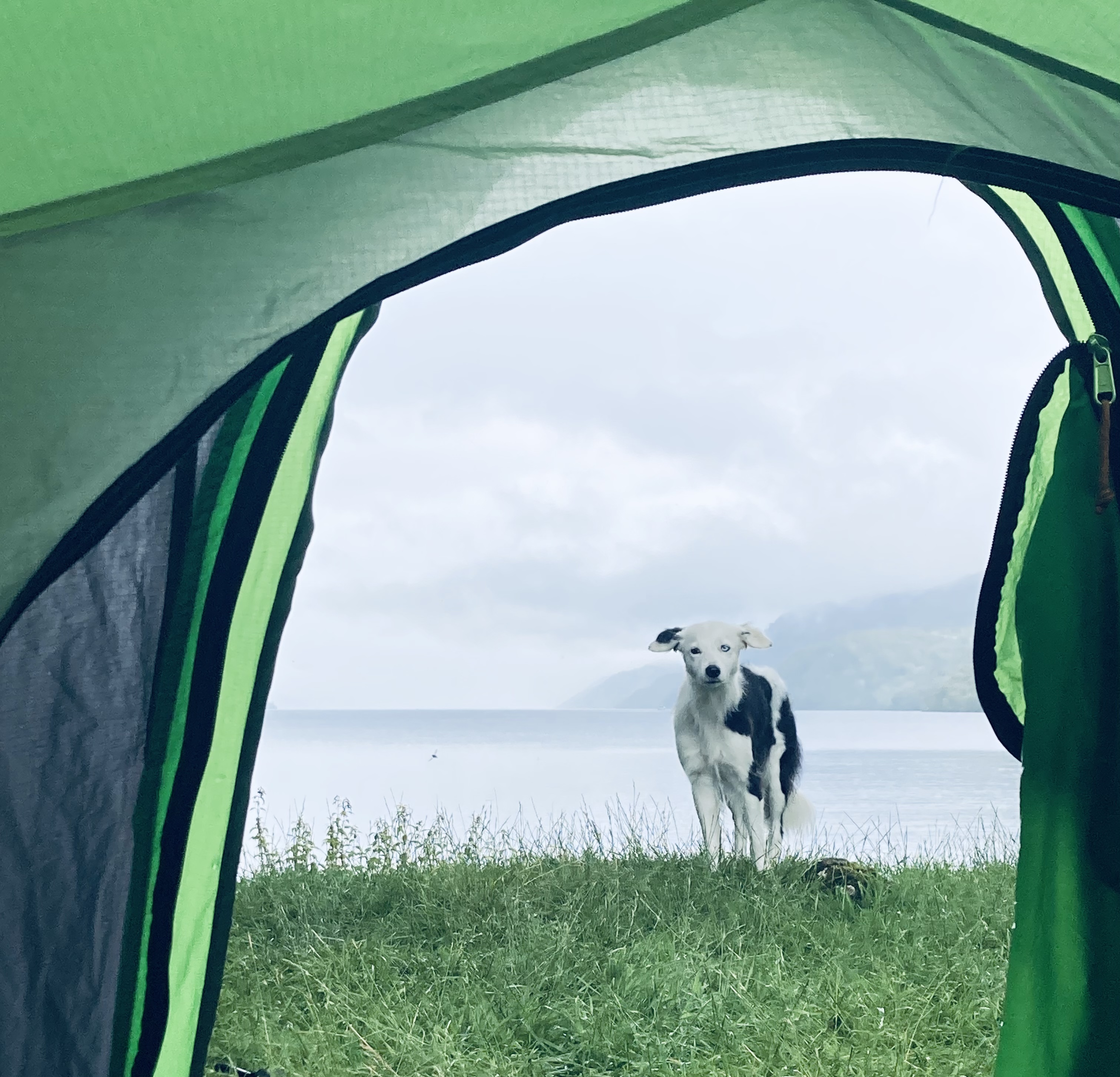 media_387GXTZE8TEBJ6XR