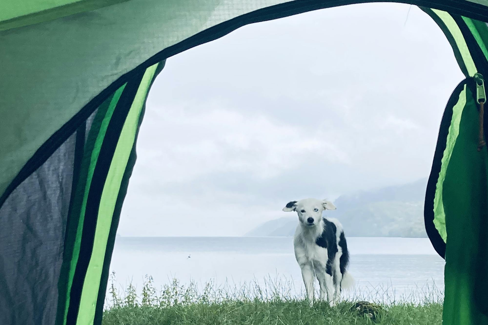 media_387GXTZE8TEBJ6XR