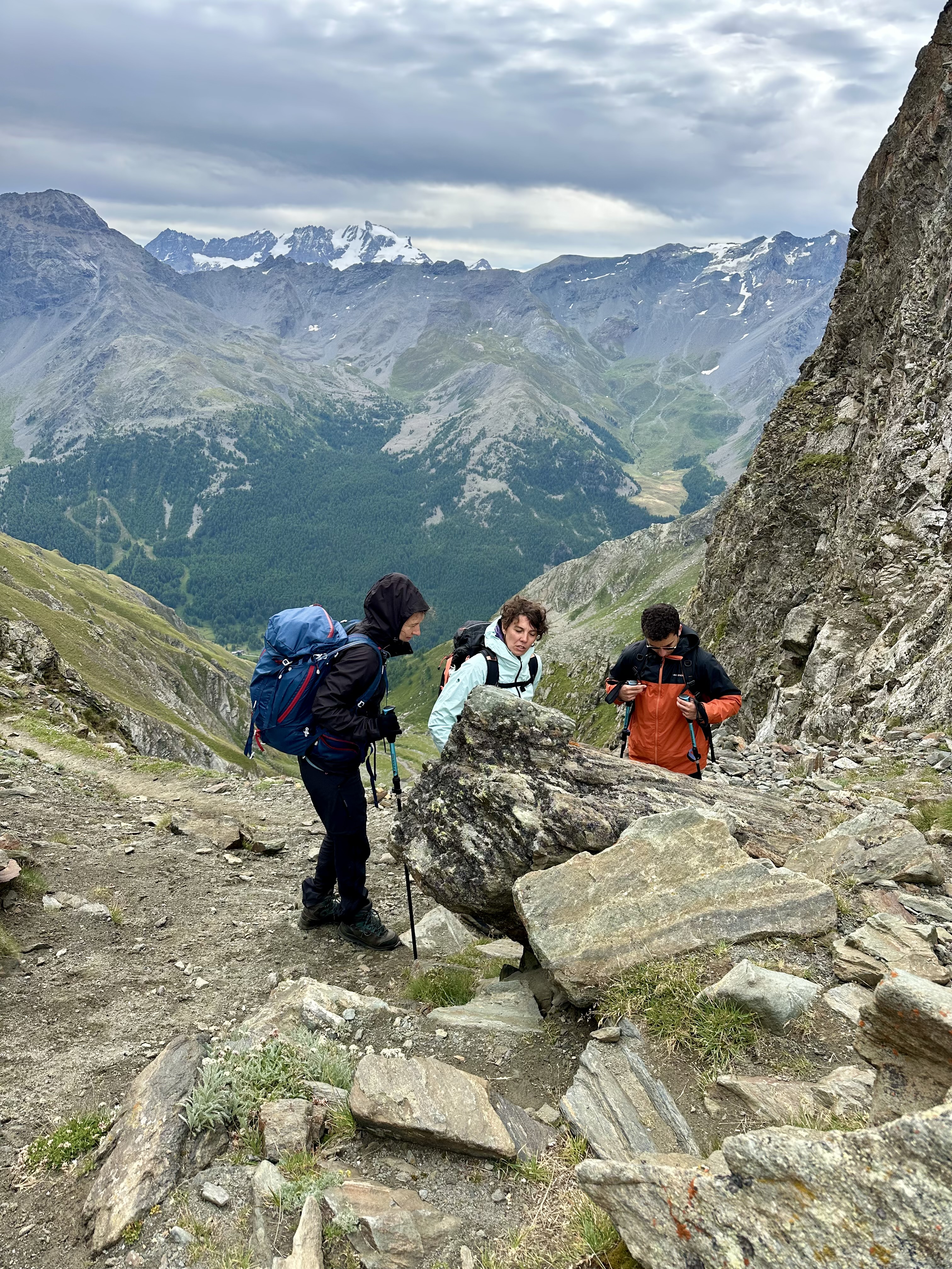 media_74ZN7ZFXZEH6NJTY