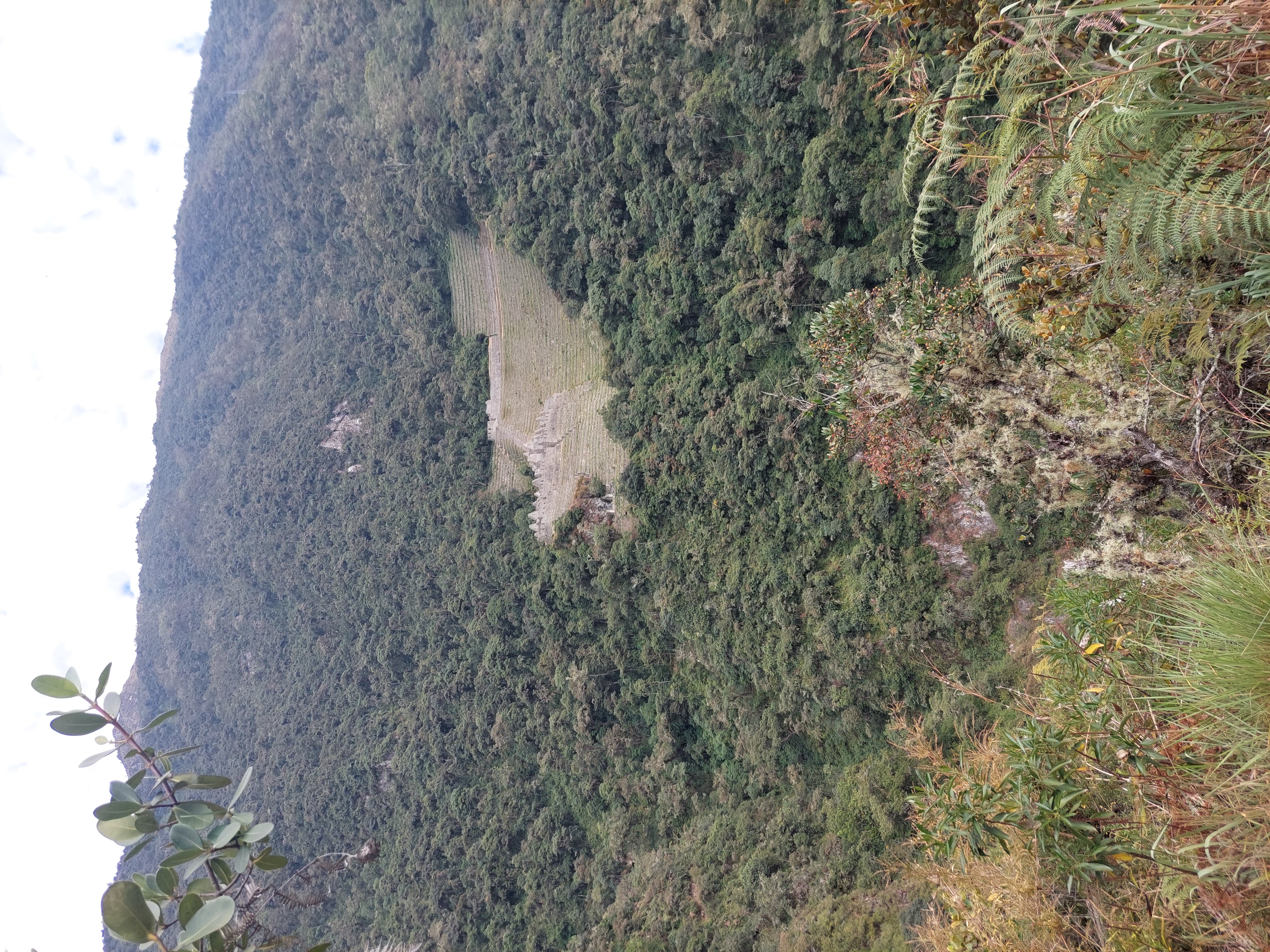 media_R3ZHRHCKUJY5A9B6