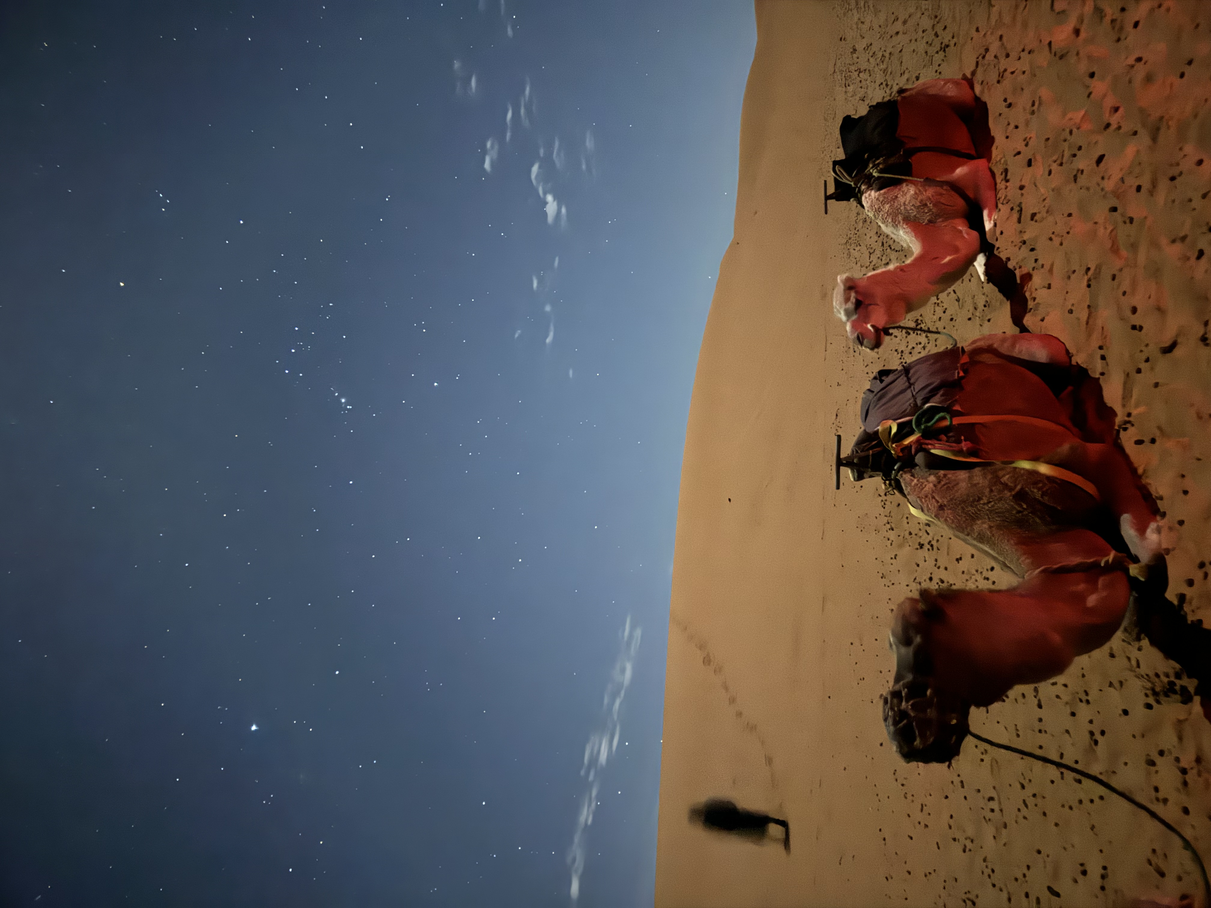 media_79G2EV8PK7Y9XDXX