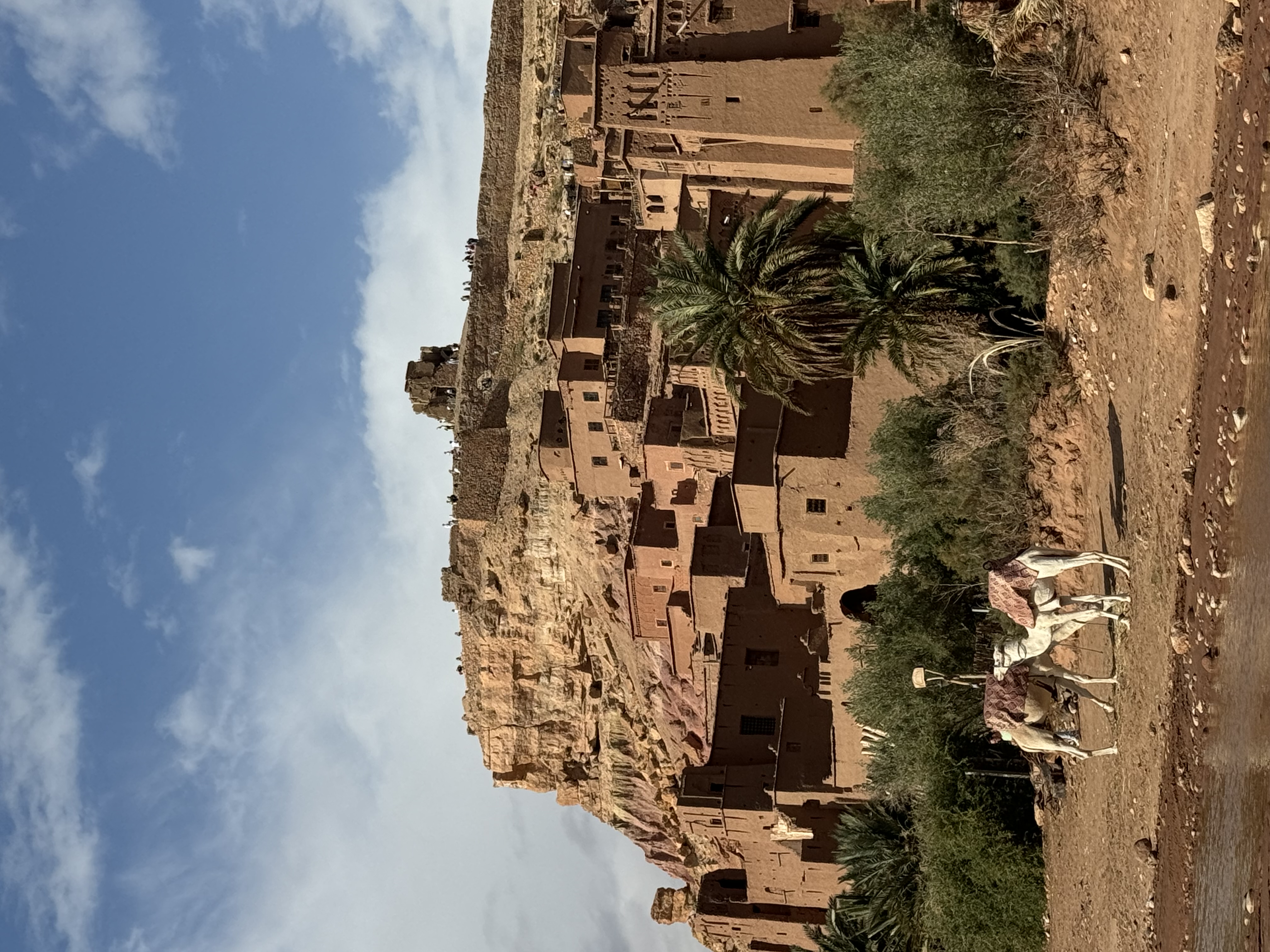 media_9MU7KAGBX4FYXVTG