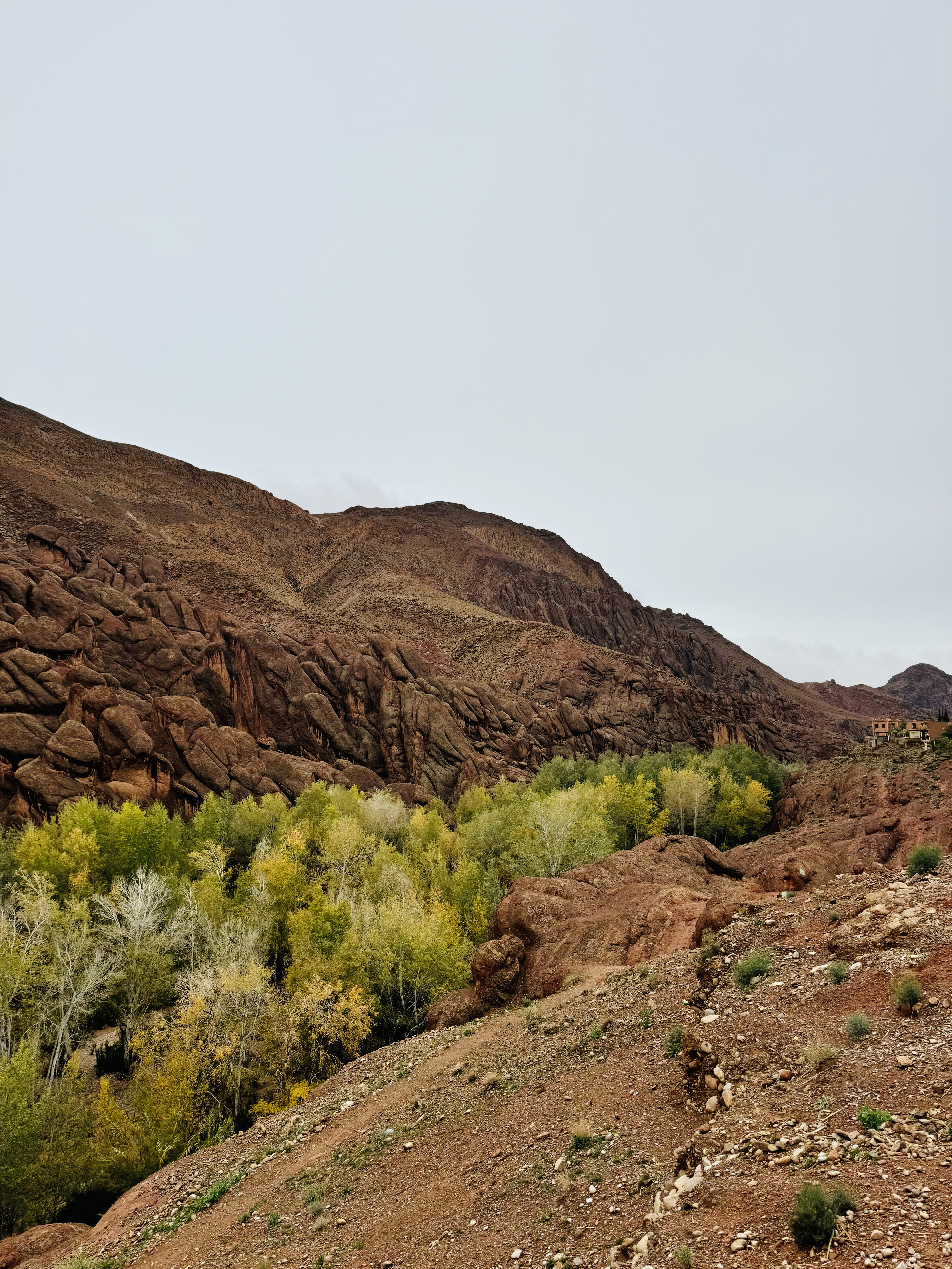 media_B7P46XLN85PHM688