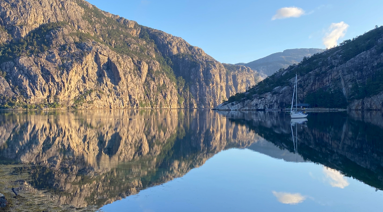 media_NZ49QBR6PSJ8VLWV