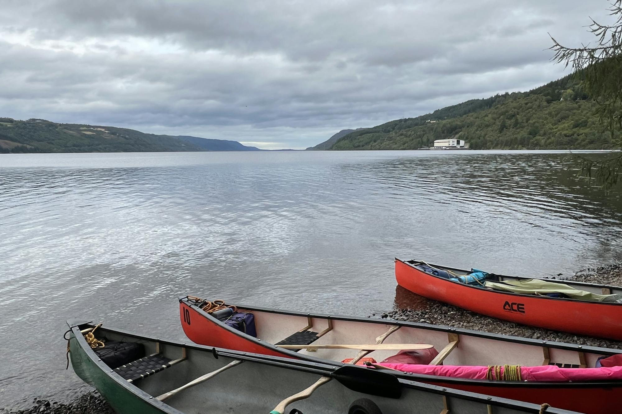 media_3E74YG5MSQXHUBPK