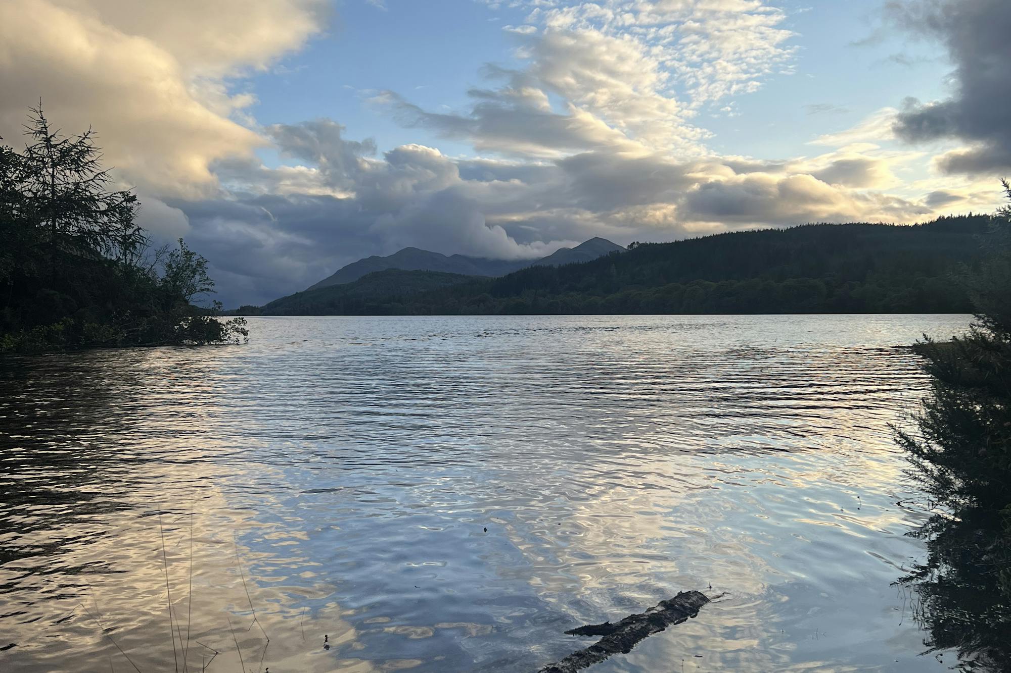 media_4P33M8MBBCNA8PRP