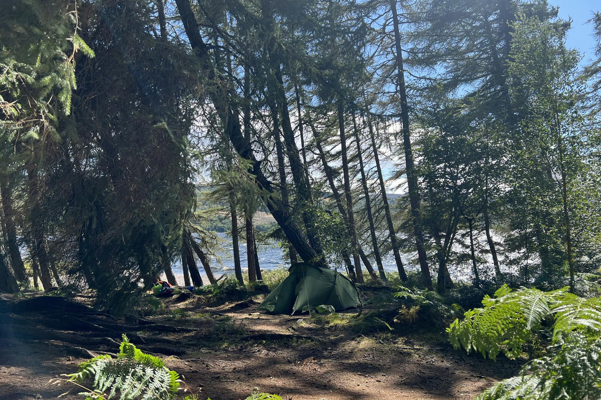 media_W9T9XSNMVHA9WP6K