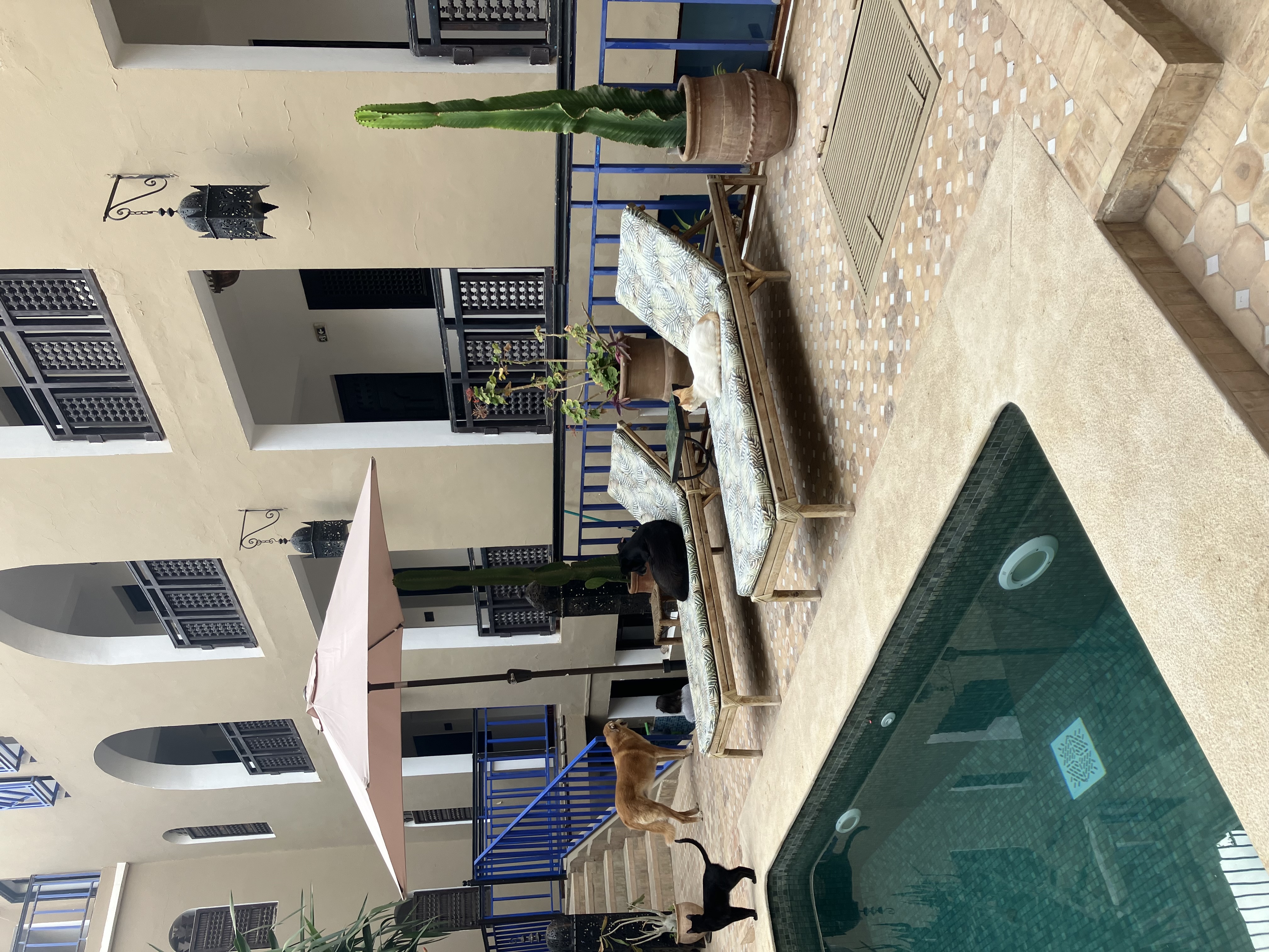 media_MS64LUZXXWQN24AE