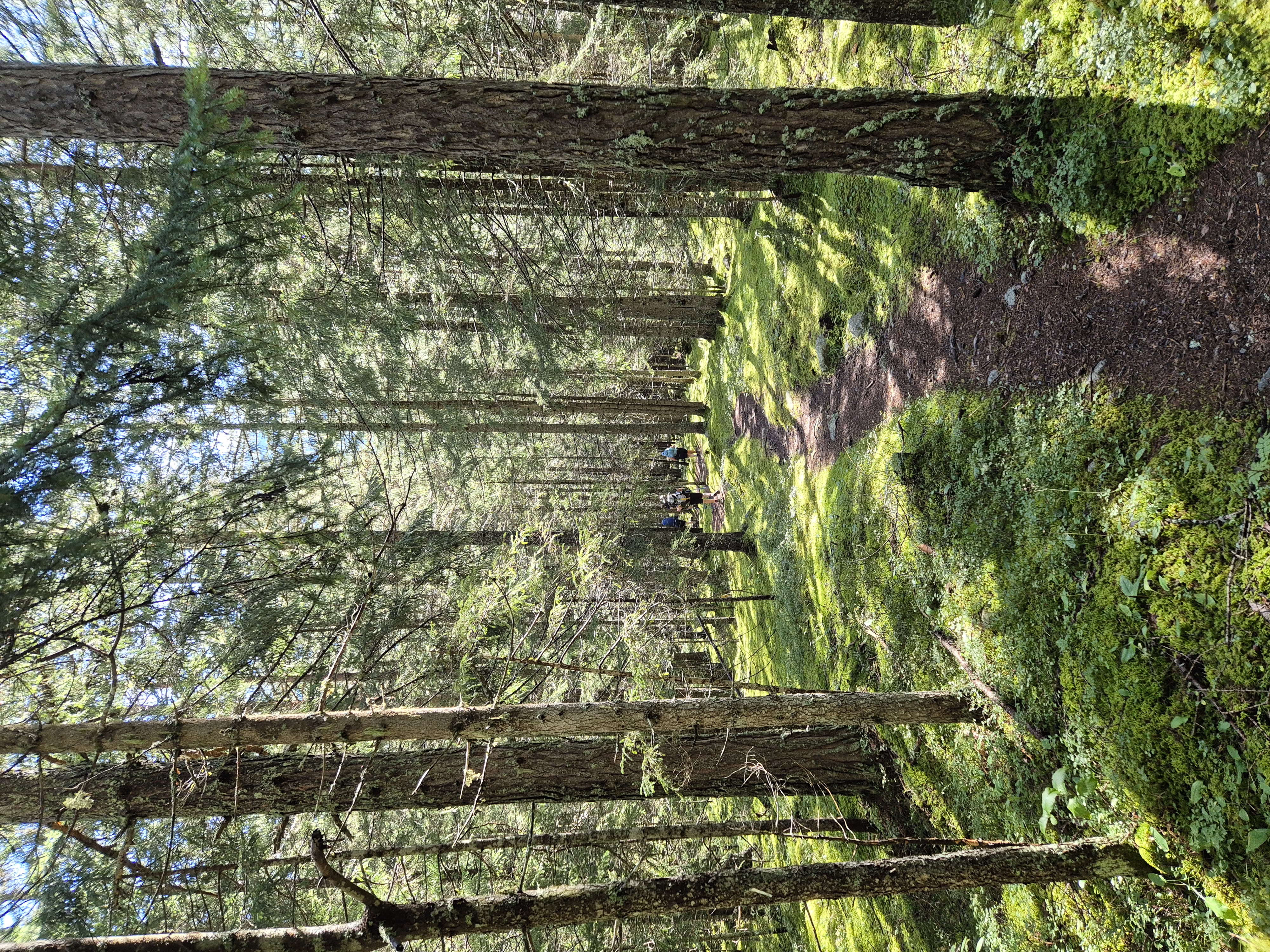 media_4STP9ZDMFLQKJMK9