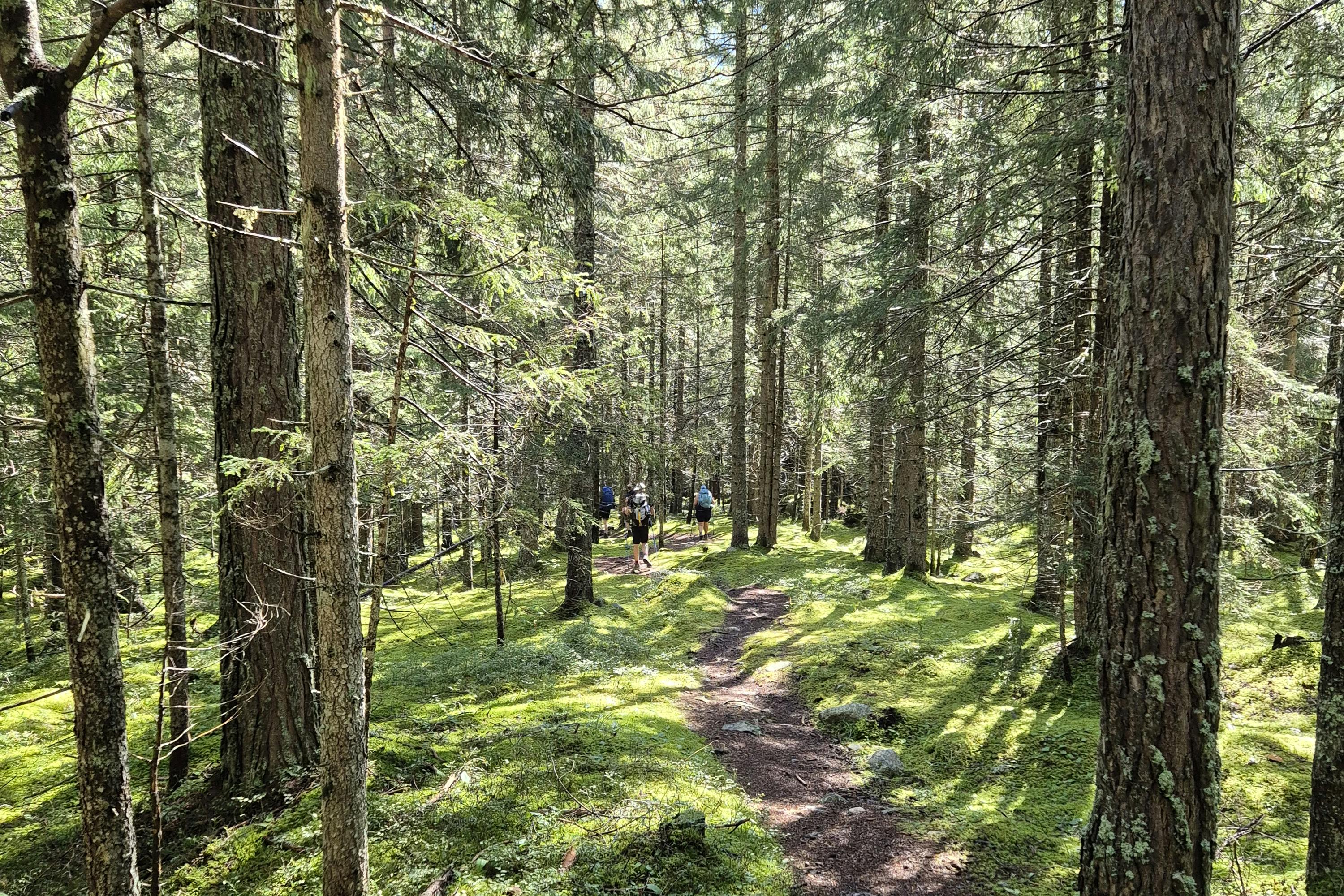 media_4STP9ZDMFLQKJMK9