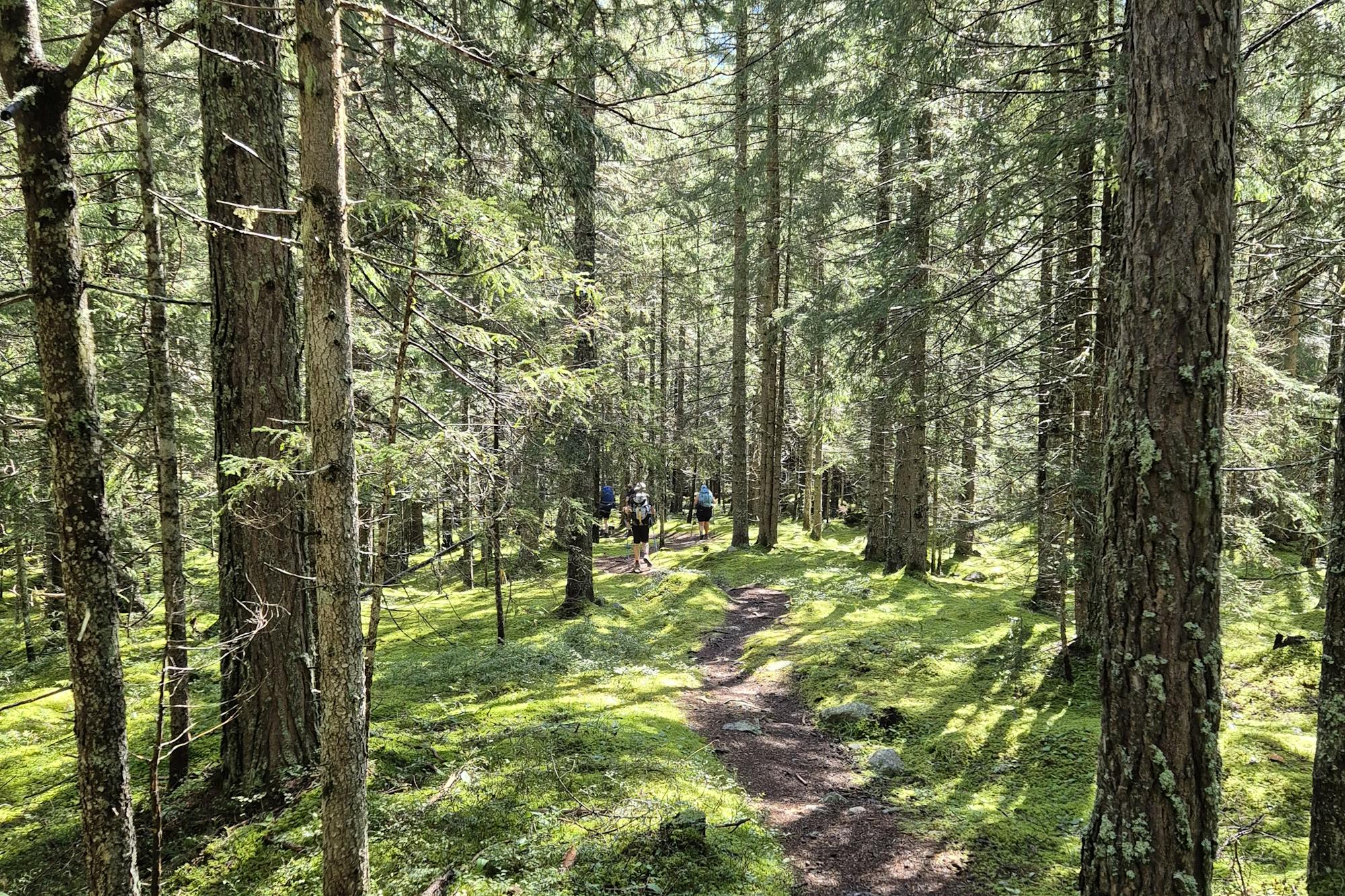 media_4STP9ZDMFLQKJMK9