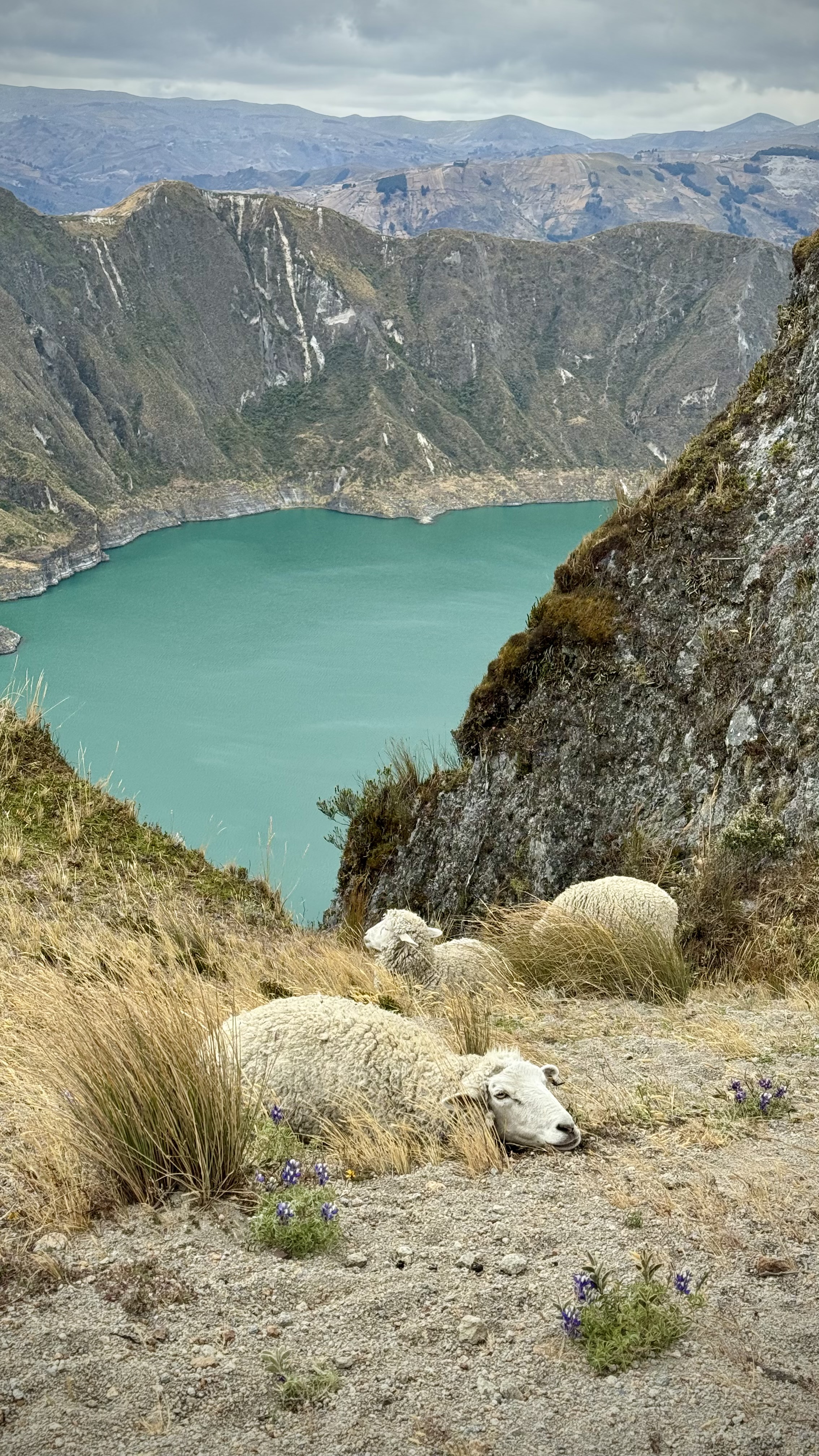 media_4MSBBTEKPDH7A39V