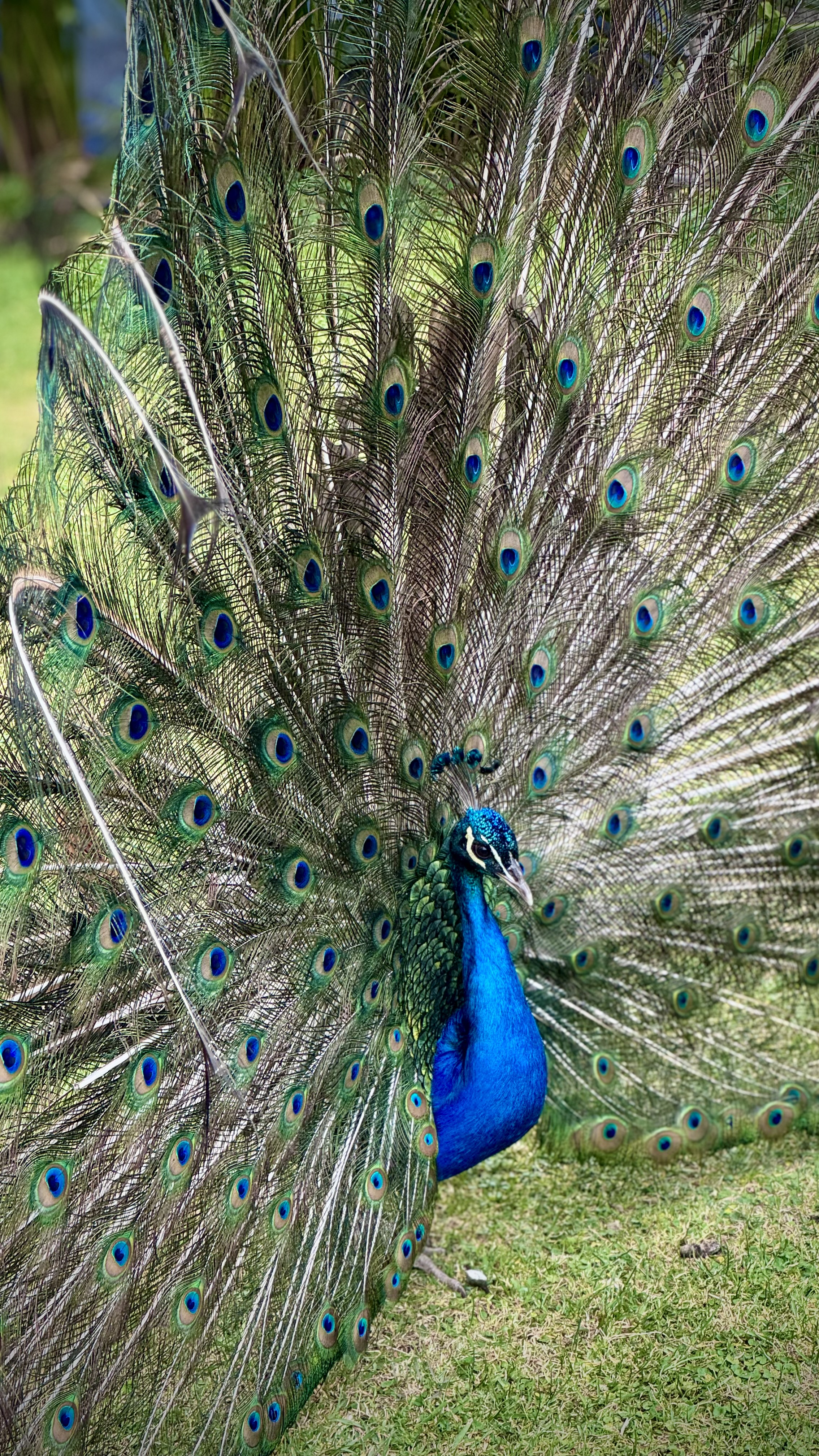 media_9P8HLJE2M5WN9QPE