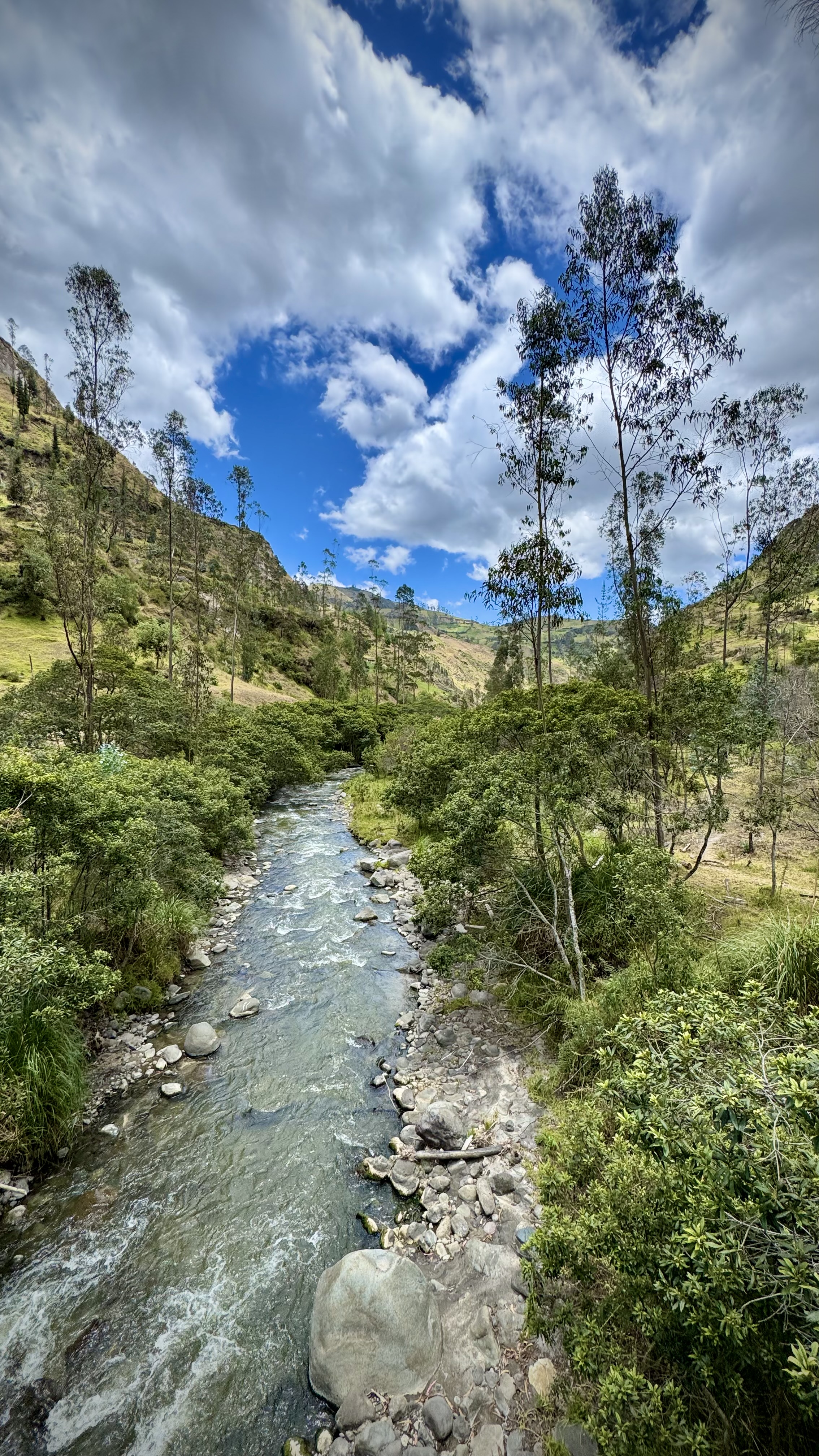 media_W2YZ2CX5WVVTVX4B