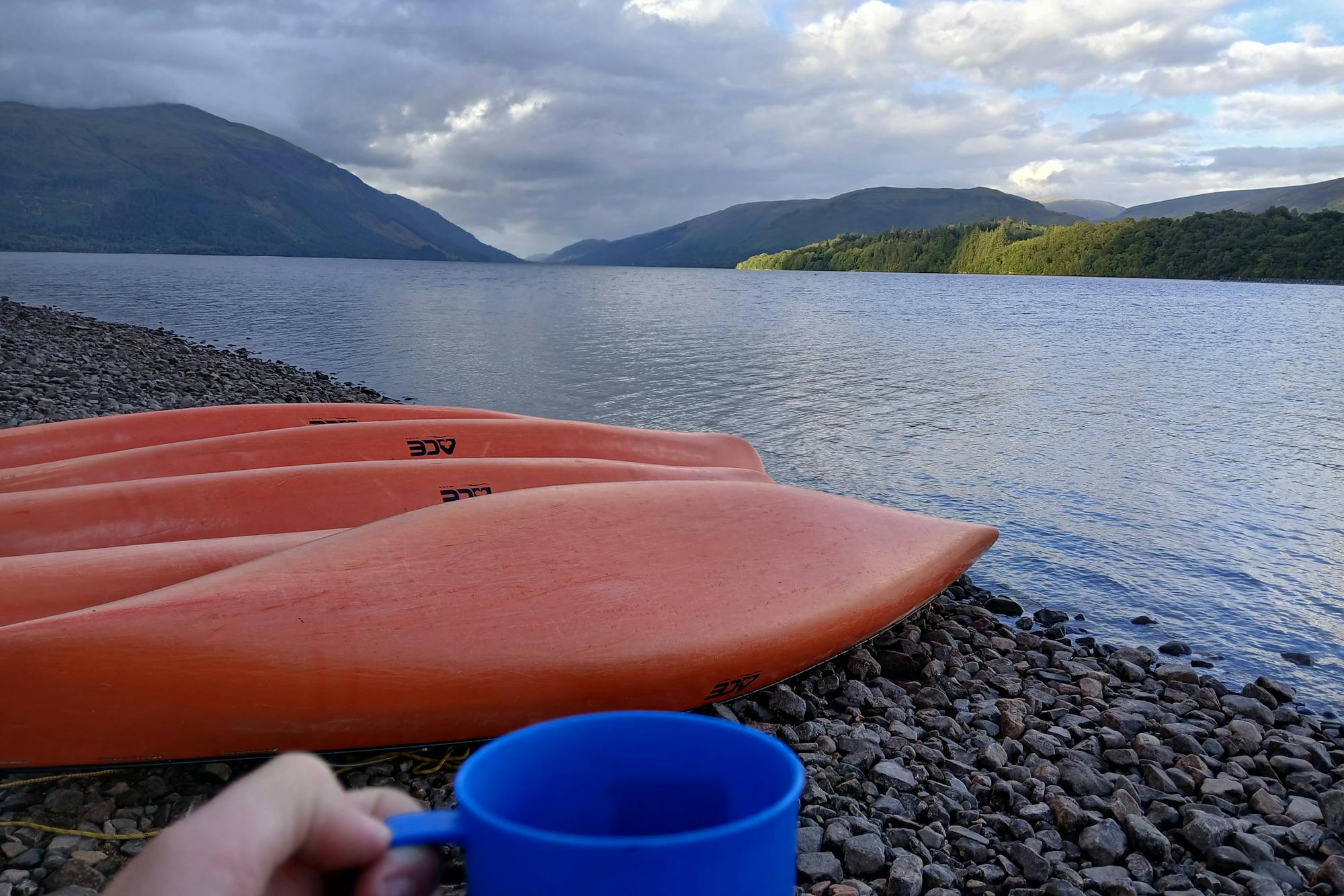 media_YC8MHAFE8WW25L95