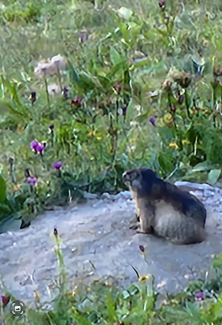 media_B9HSHGCHZSQ7HT6V