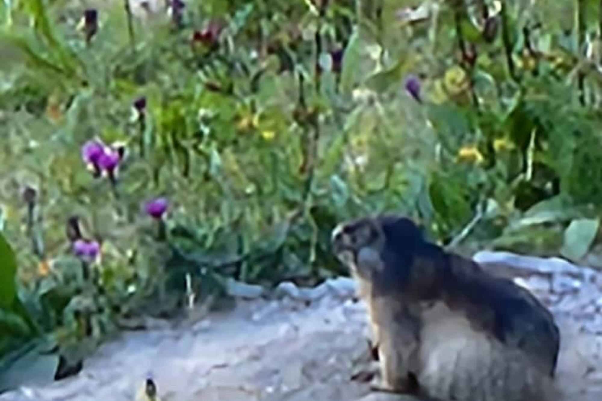 media_B9HSHGCHZSQ7HT6V