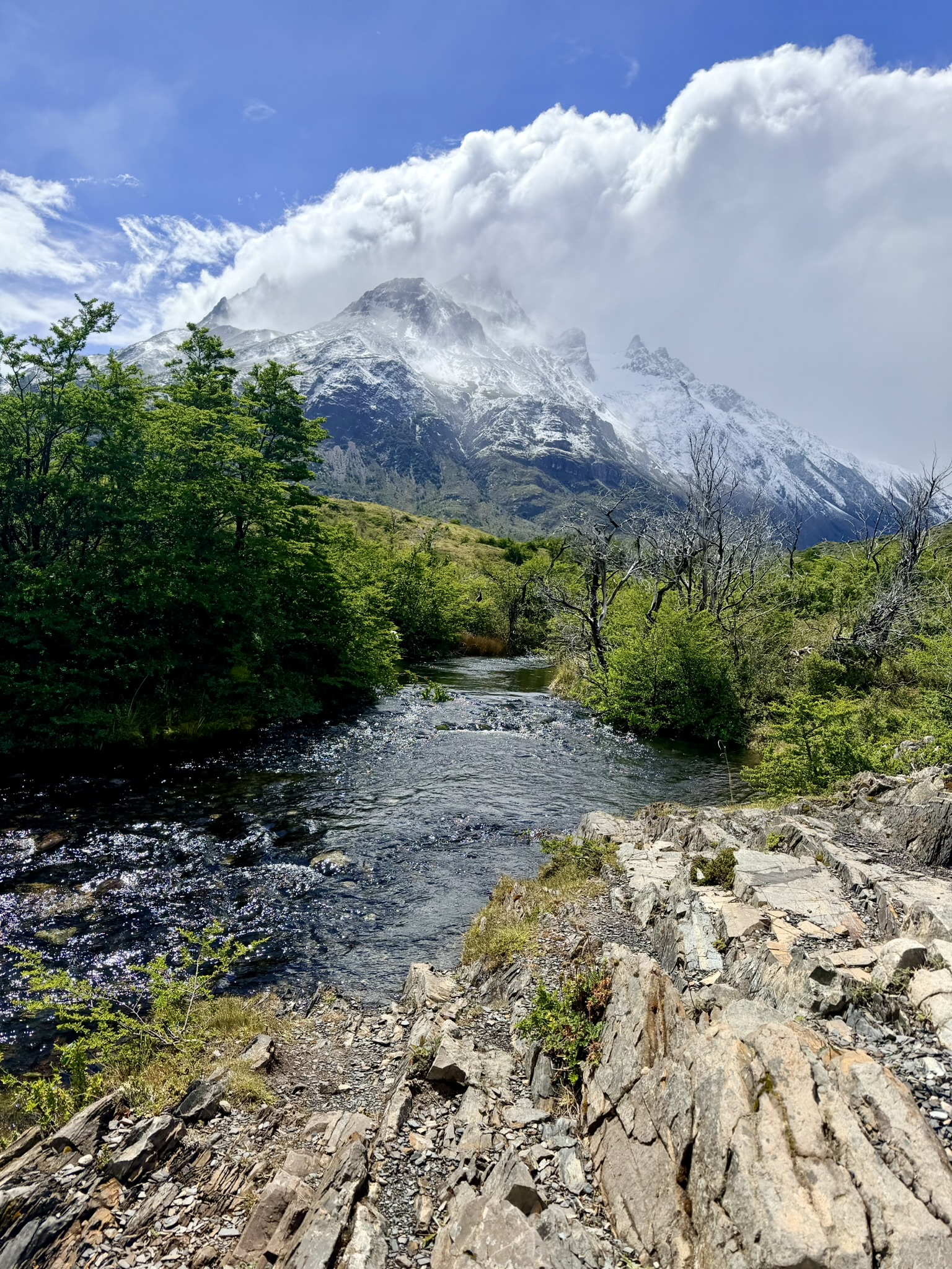 media_7G8BJTG7LGD8JVCN