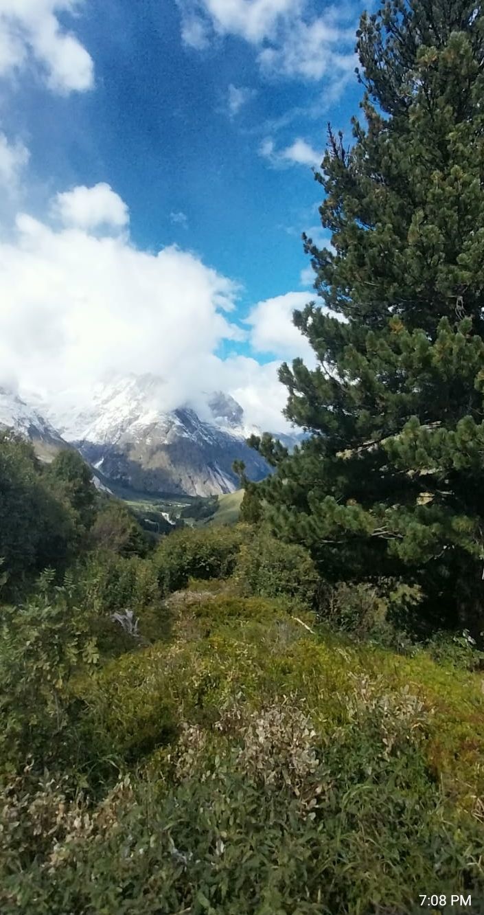 media_C59HAFHVQND4AZP8