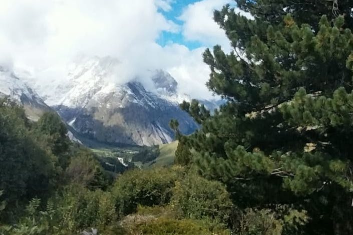 media_C59HAFHVQND4AZP8