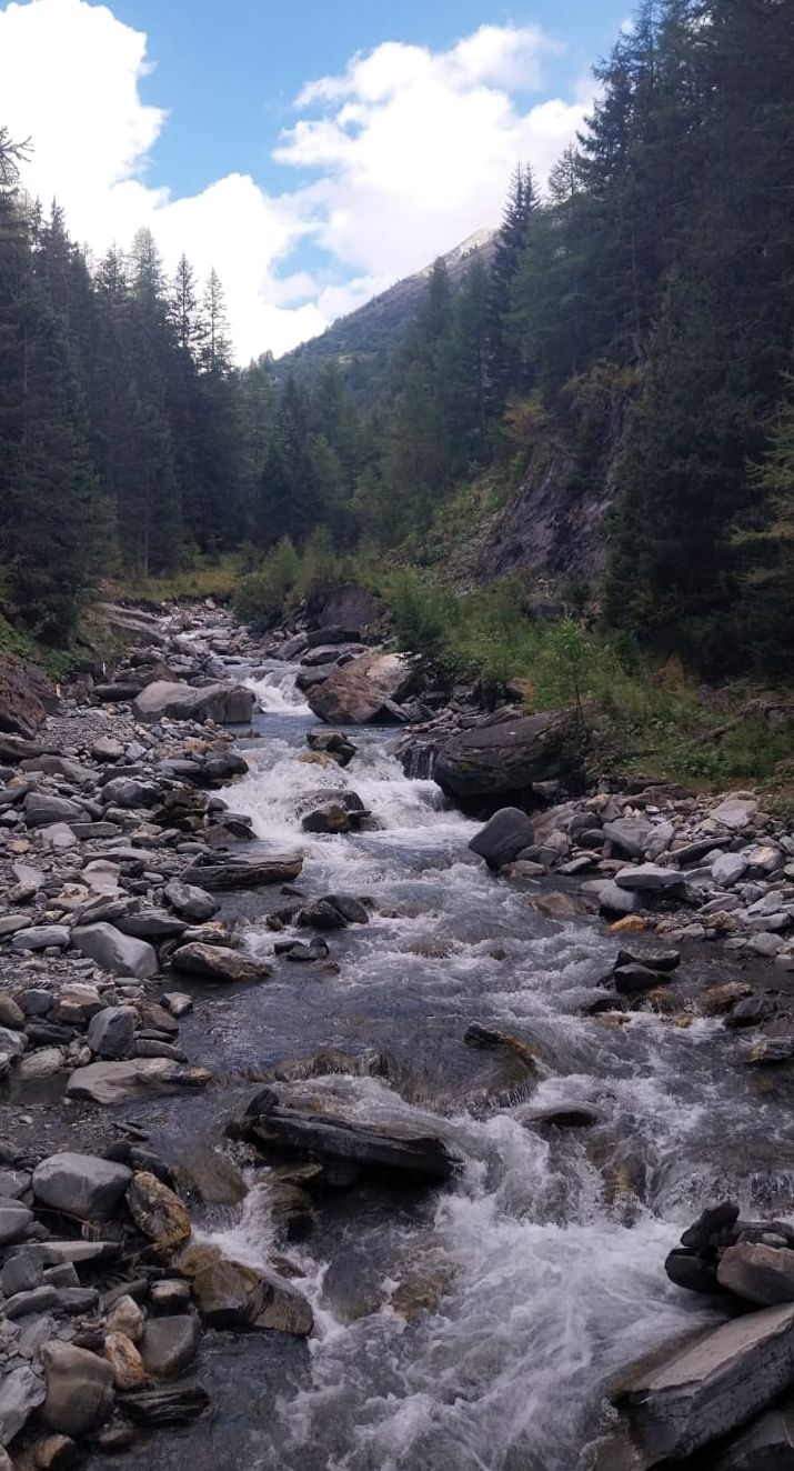 media_X4N77NXVXH932KWD