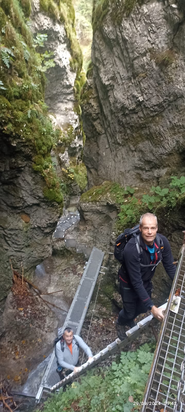 media_U357Q9W9LZYF8WMY