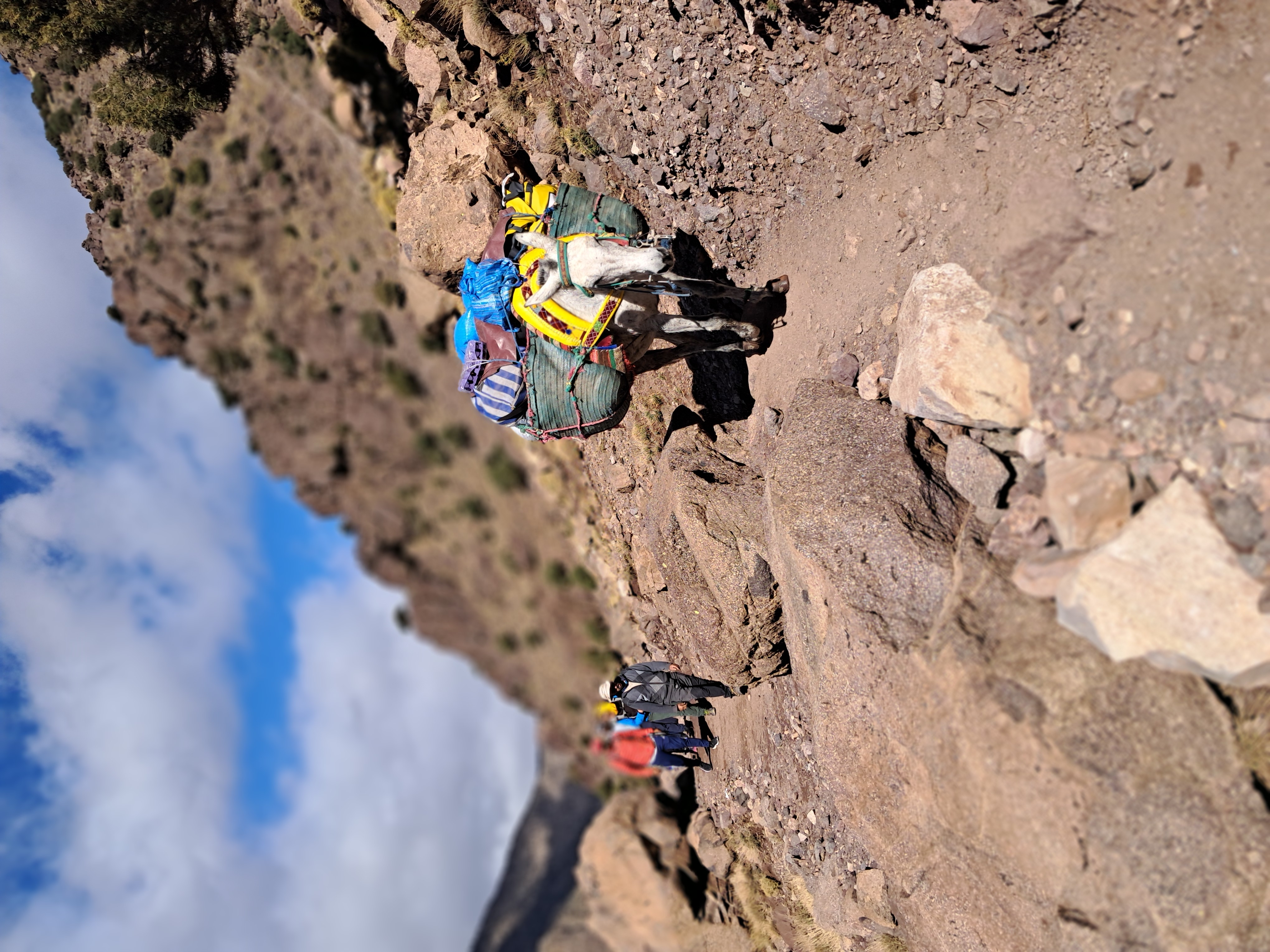 media_NDDUNTA9JNJ7D6DE