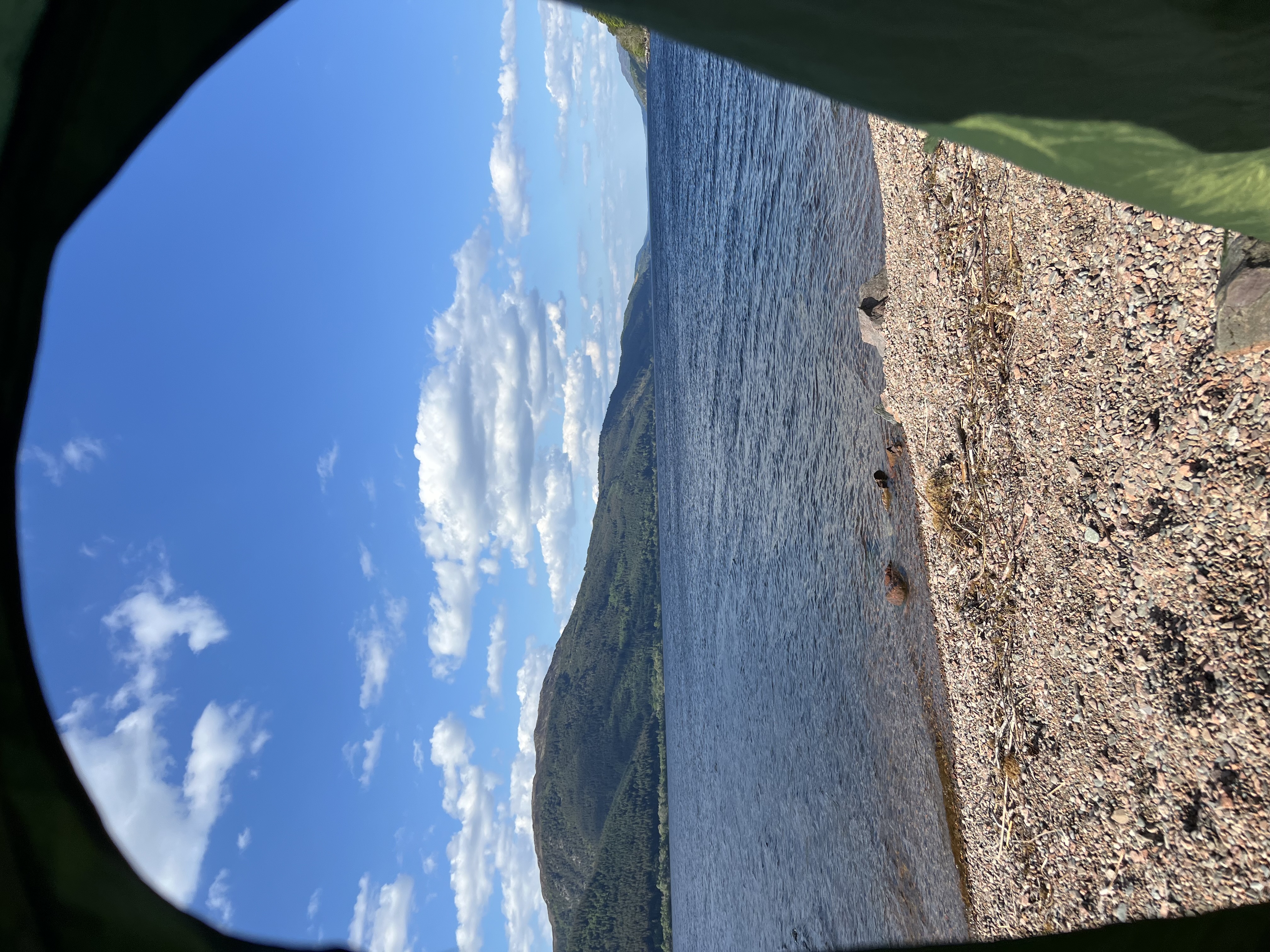 media_4TC94KPUREWRMNWX