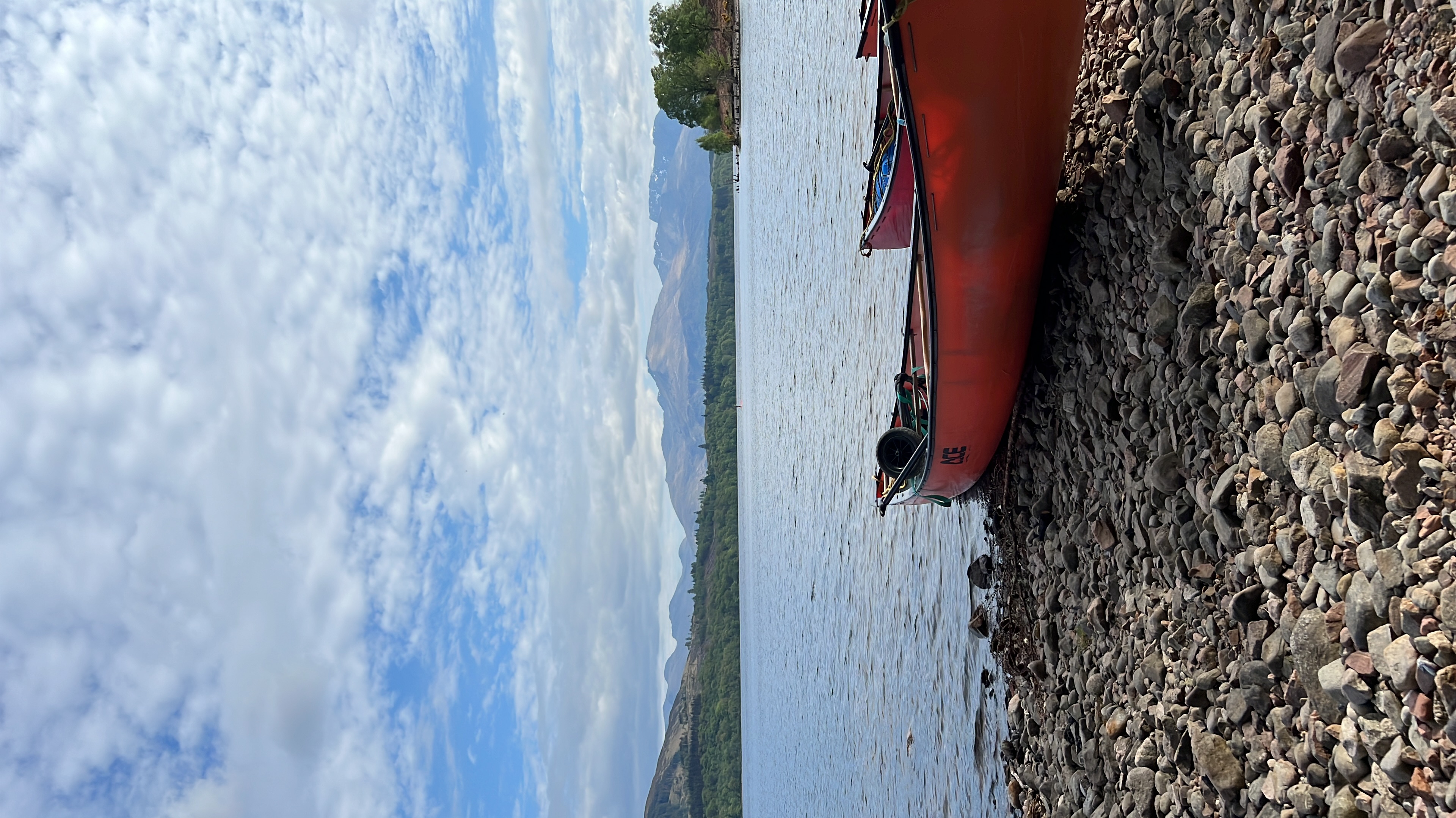 media_BUST93EGPA3RTED8