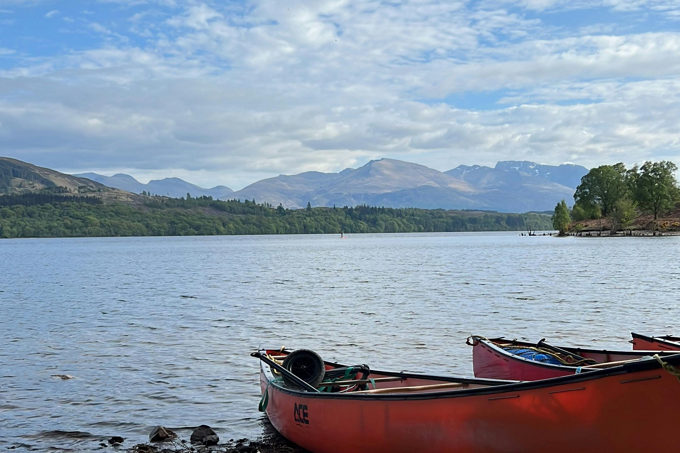 media_BUST93EGPA3RTED8