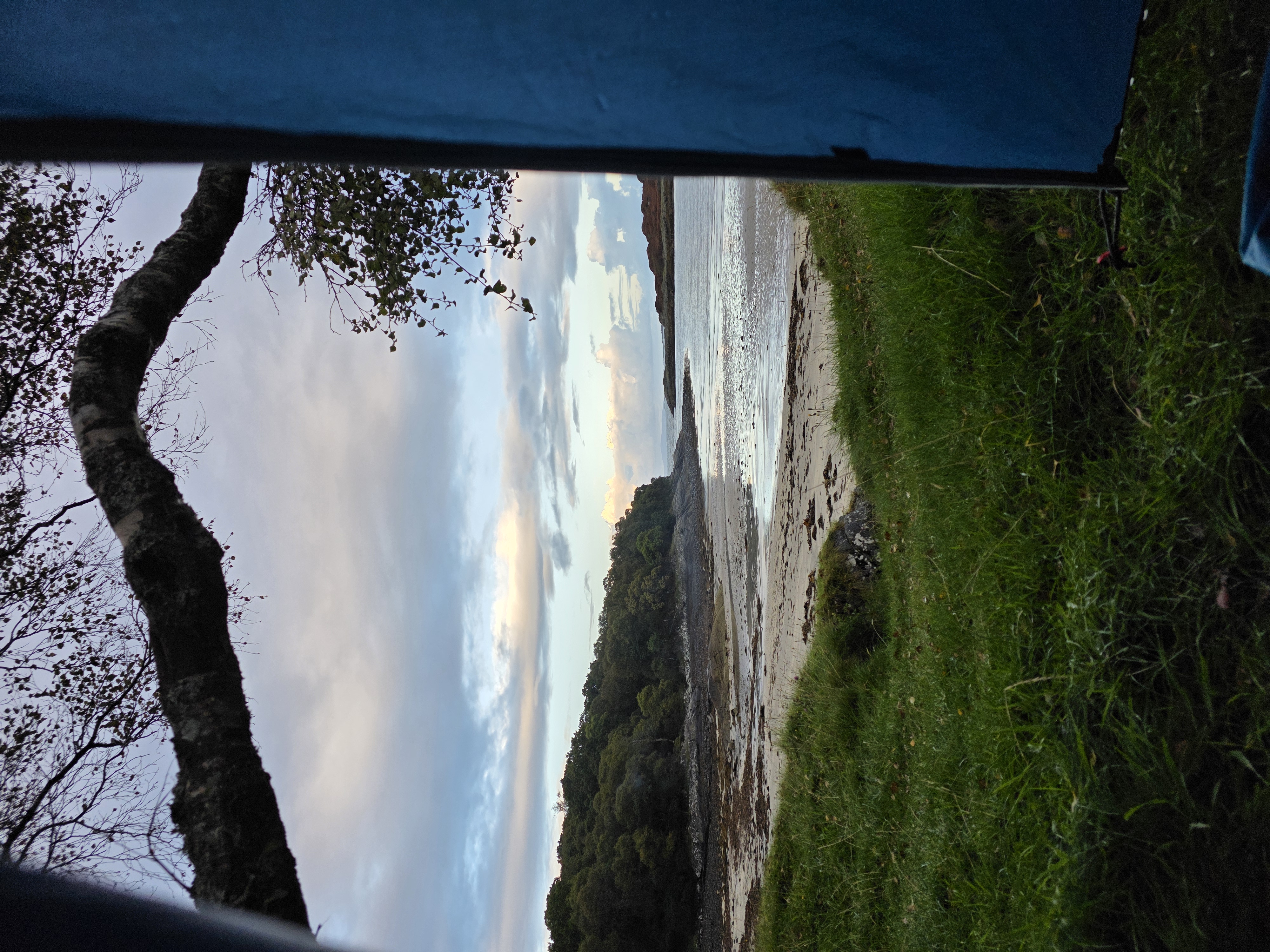 media_DQ8WSTG7JJ79S3CY