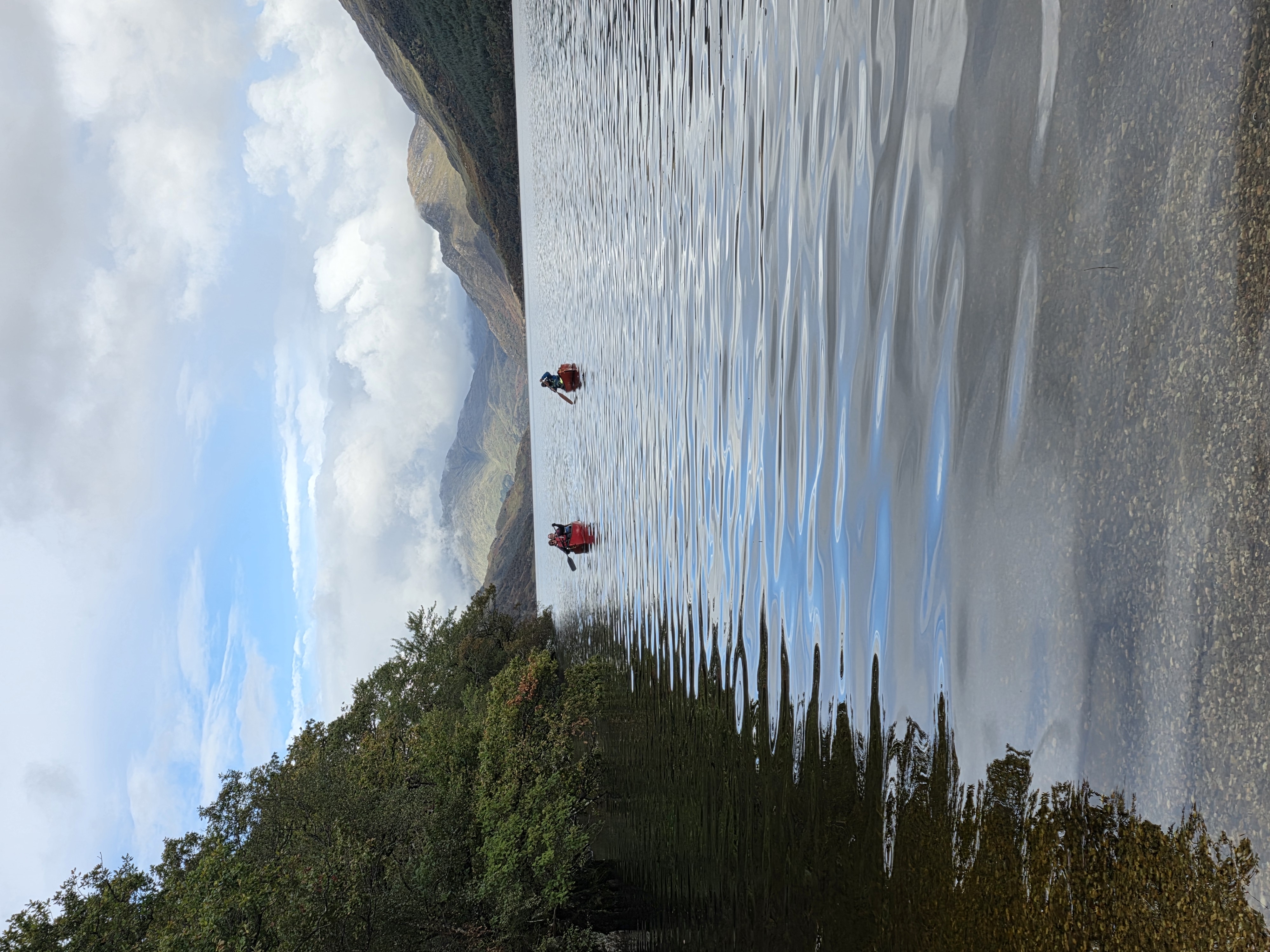 media_PGSFXFMC98ZM62LH