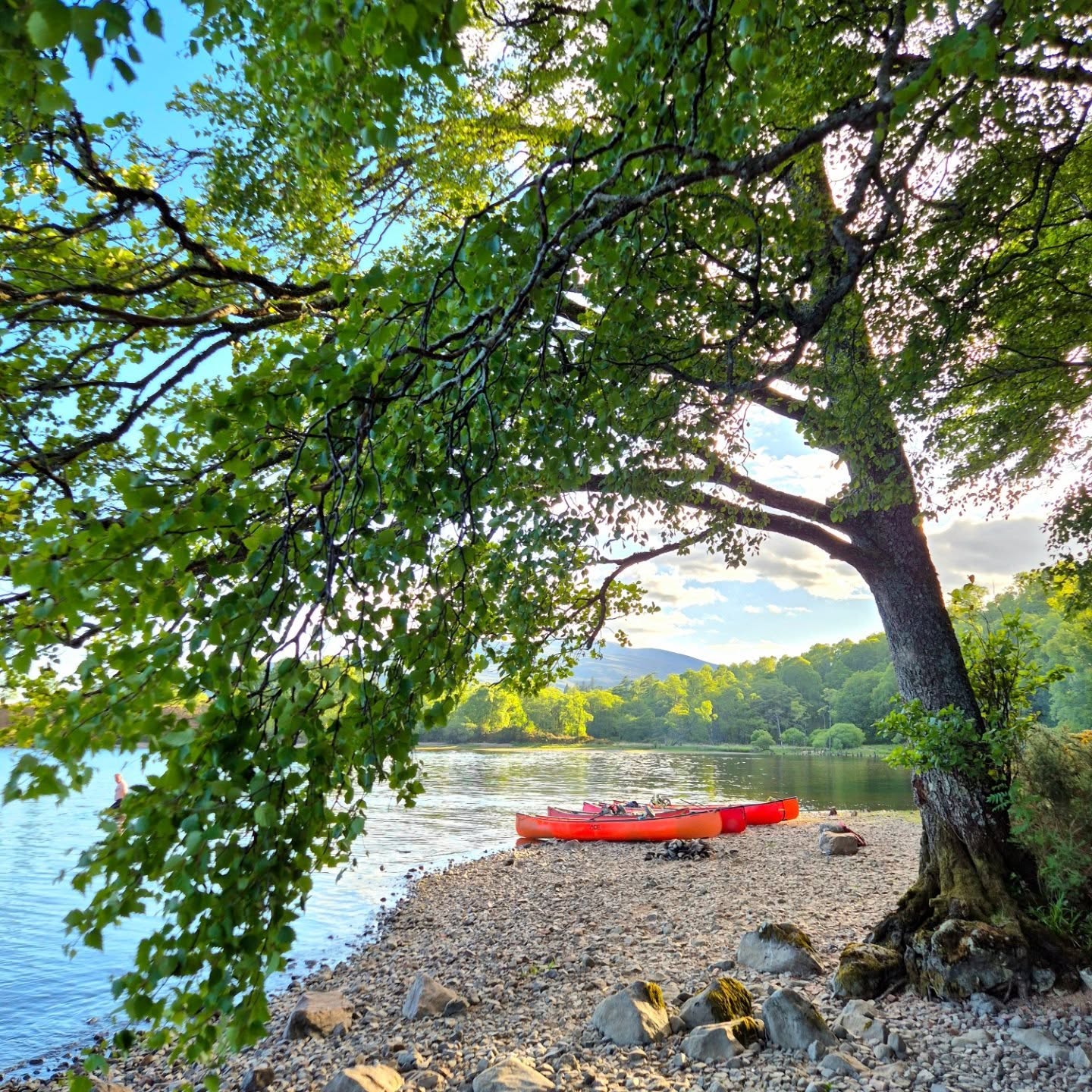 media_CNKRDPVYY85HAH5N