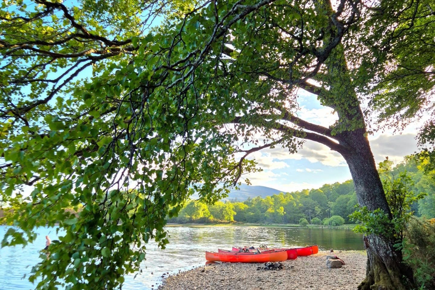 media_CNKRDPVYY85HAH5N