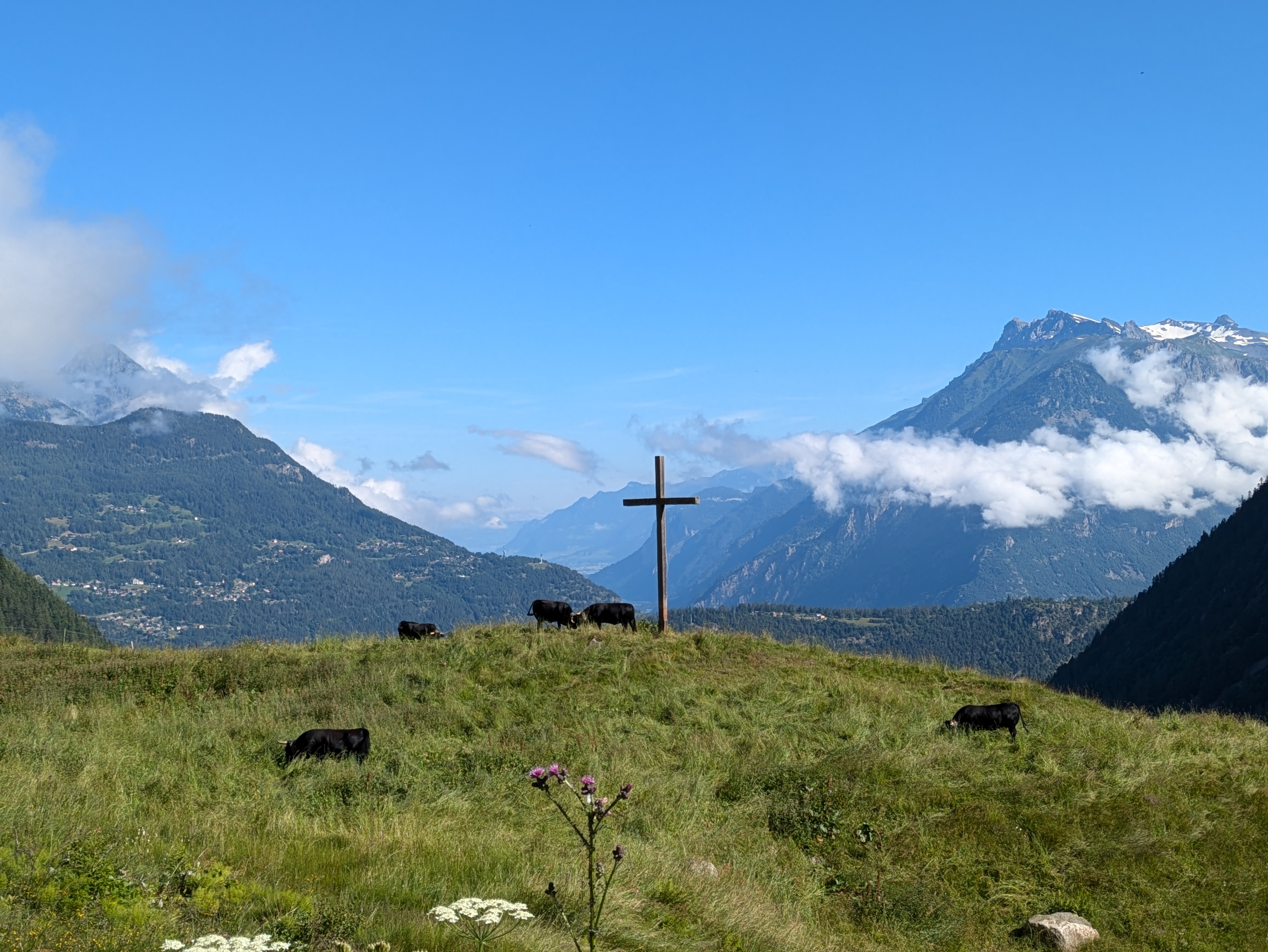 media_3786QDBKSL6SBW68