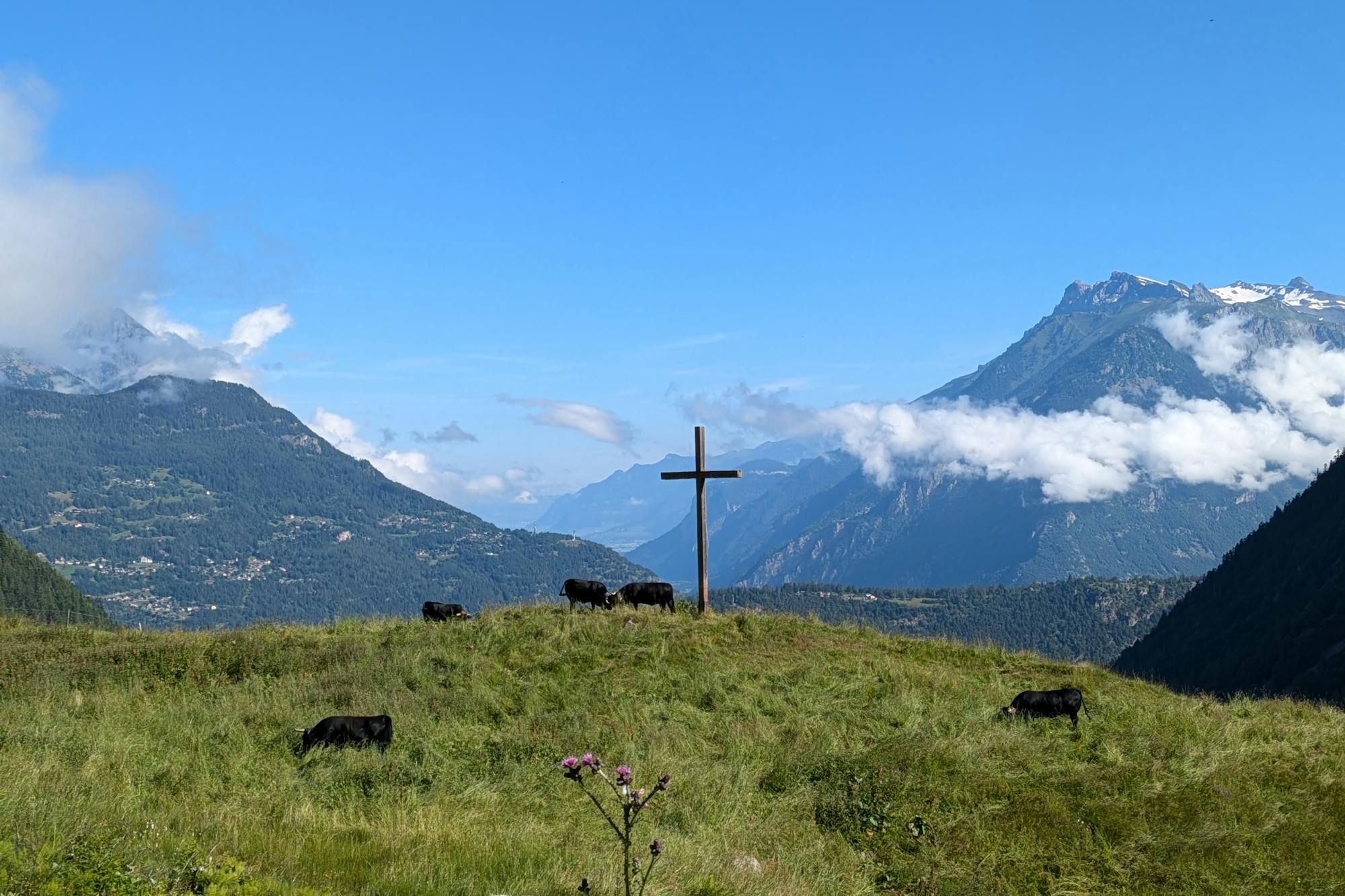 media_3786QDBKSL6SBW68