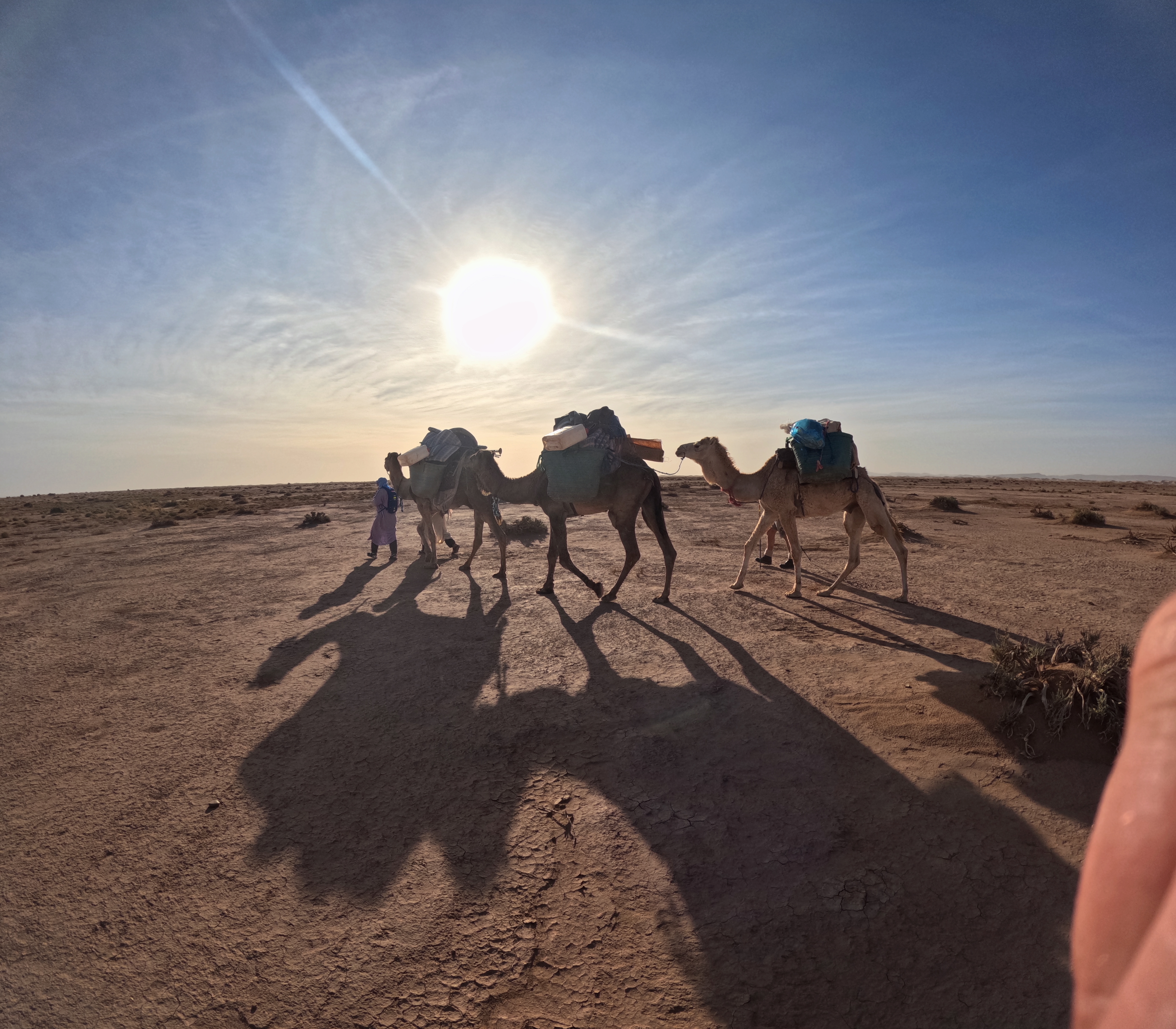 media_P2HRF2DC72PGZVZM