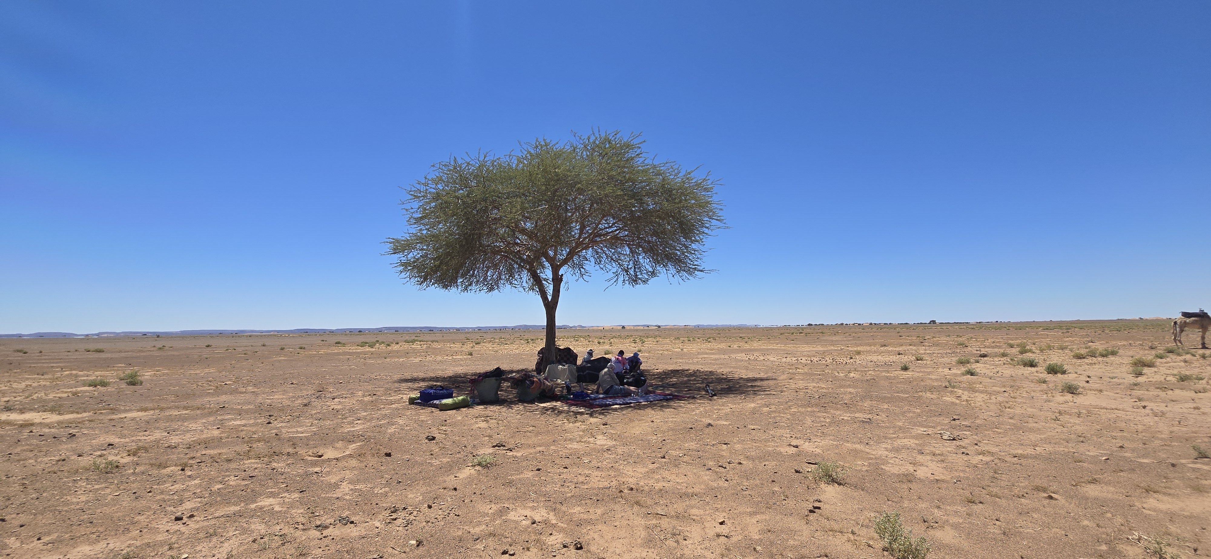 media_QHPGQYJ3TEP725MH