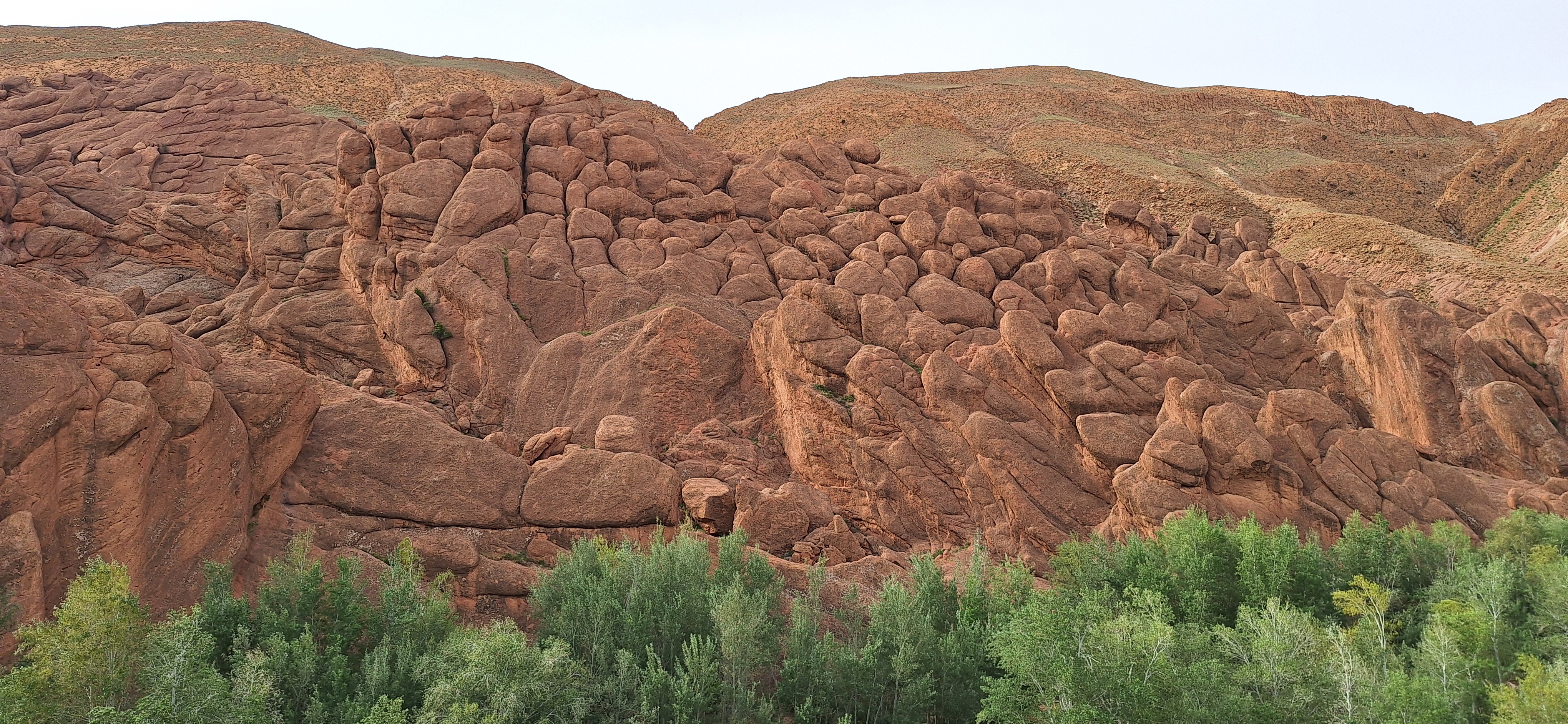 media_7LQH2G9DA6W7U886