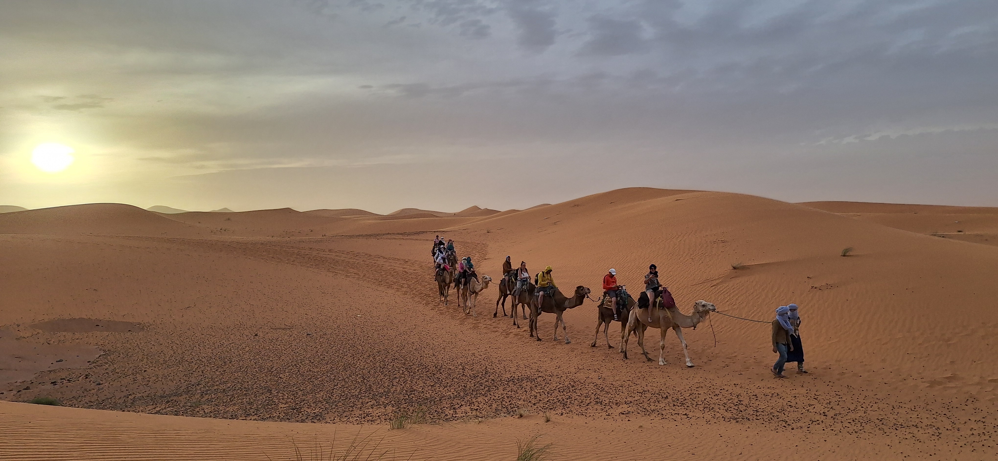 media_PX8ES29MDMAARD8M