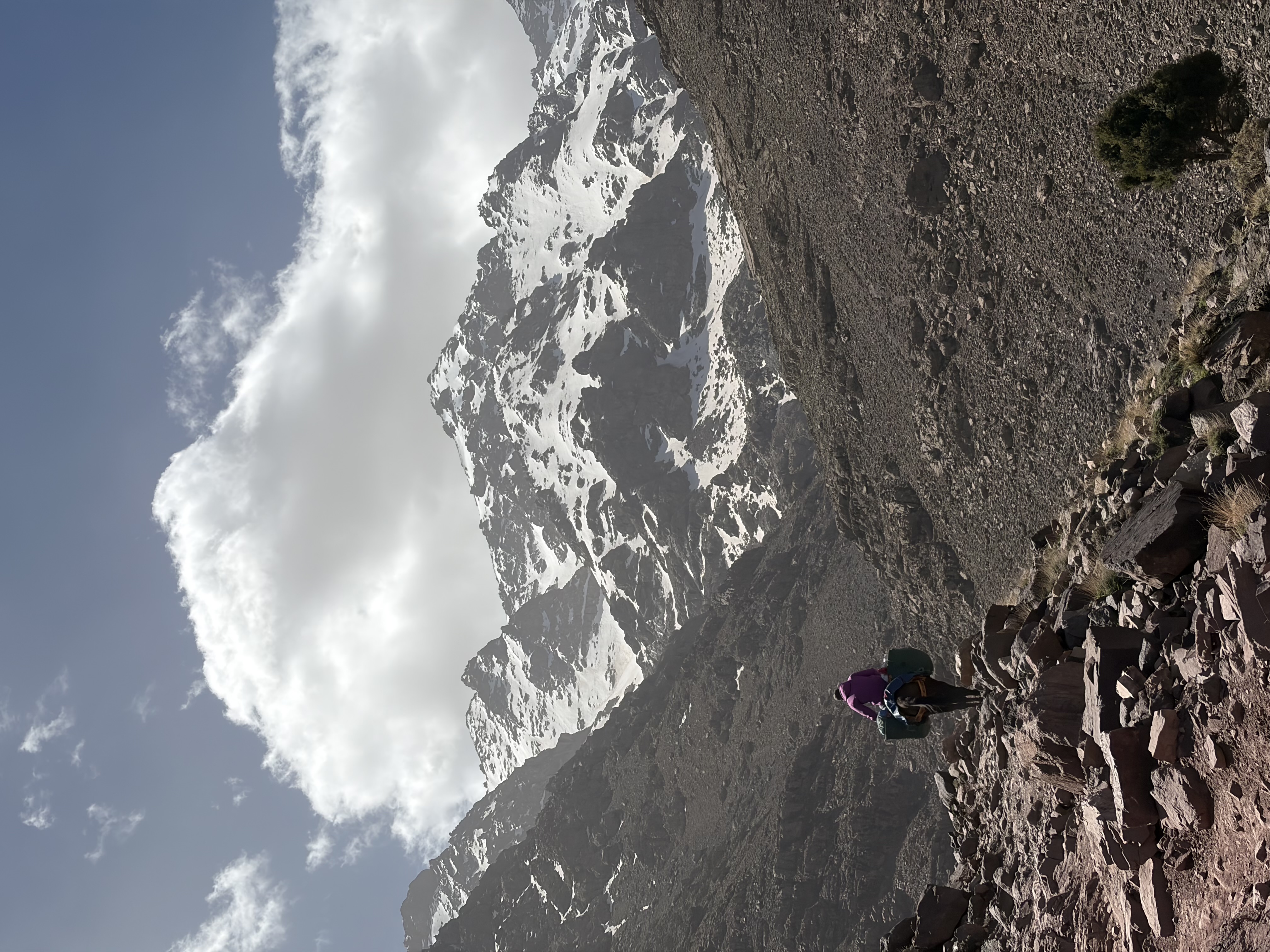 media_A2AL73D3KW5TREUE