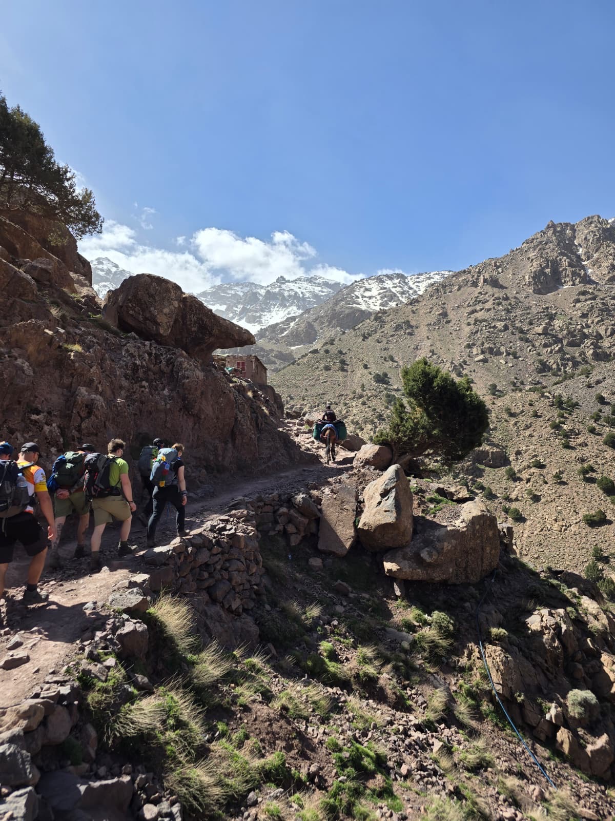 media_DUWGYXXJDHSXBYTD