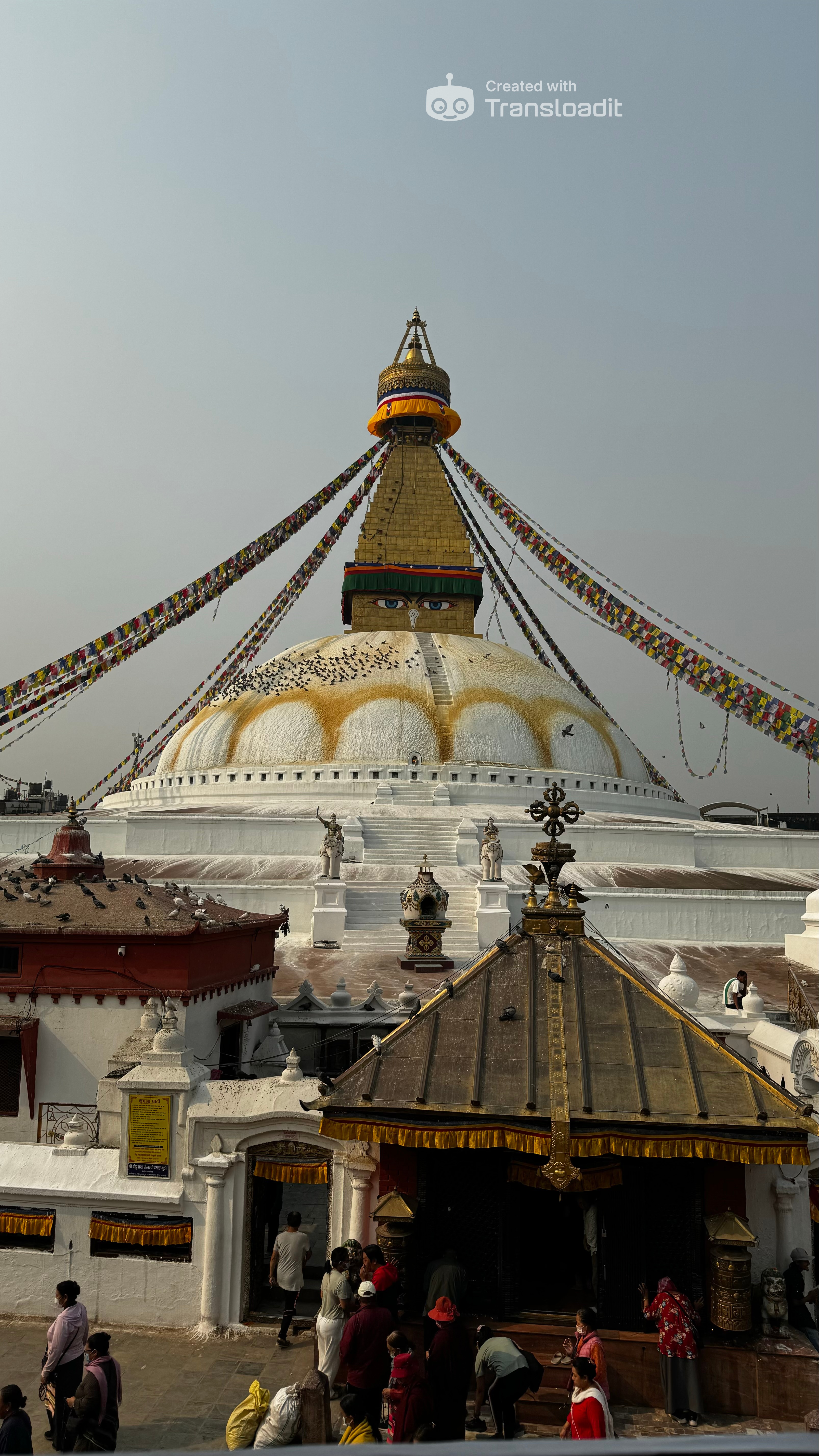 media_QYJUWCFY2Z7ALHSM