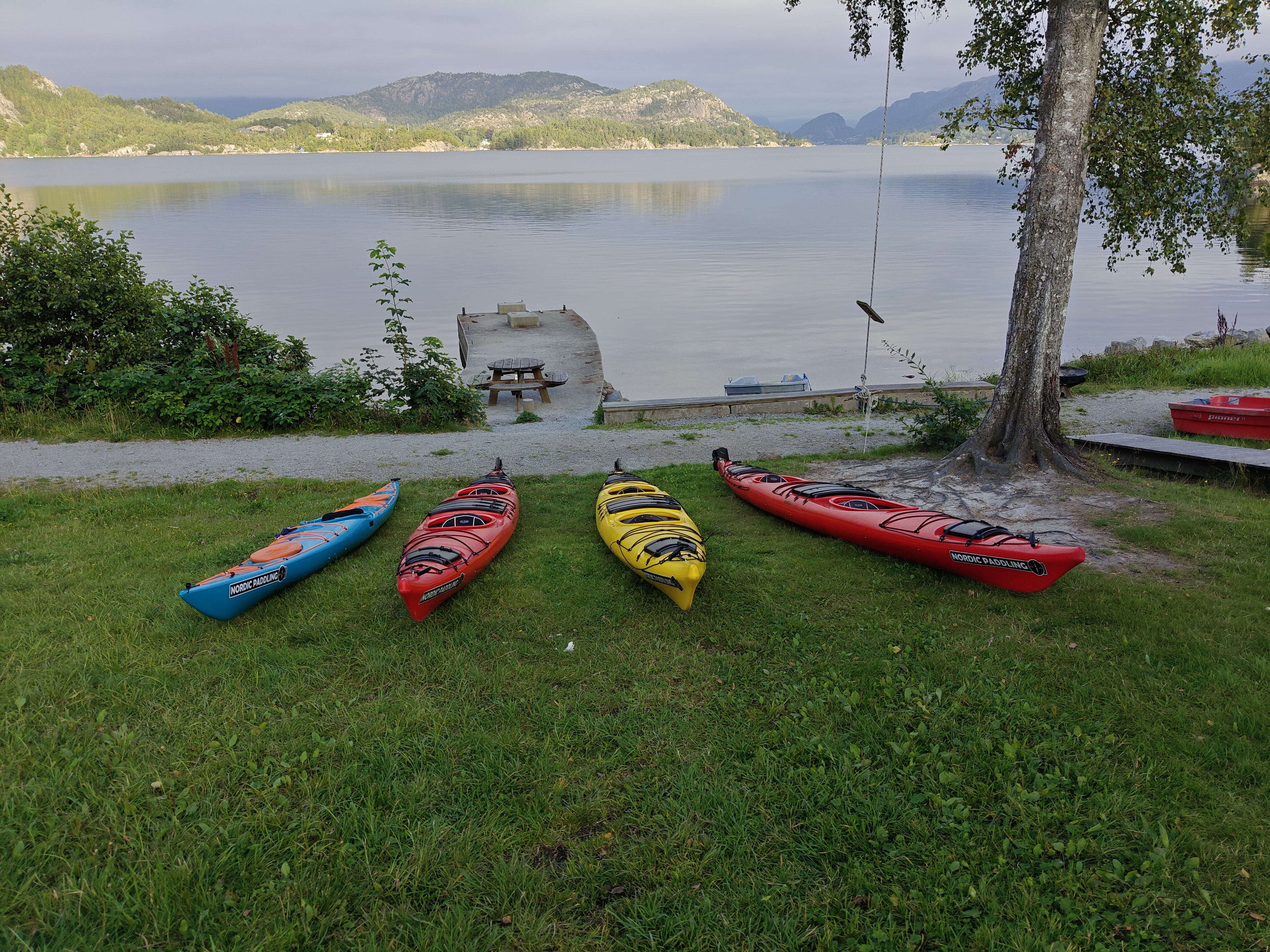 media_N6DA9GN2RMK8CQD6